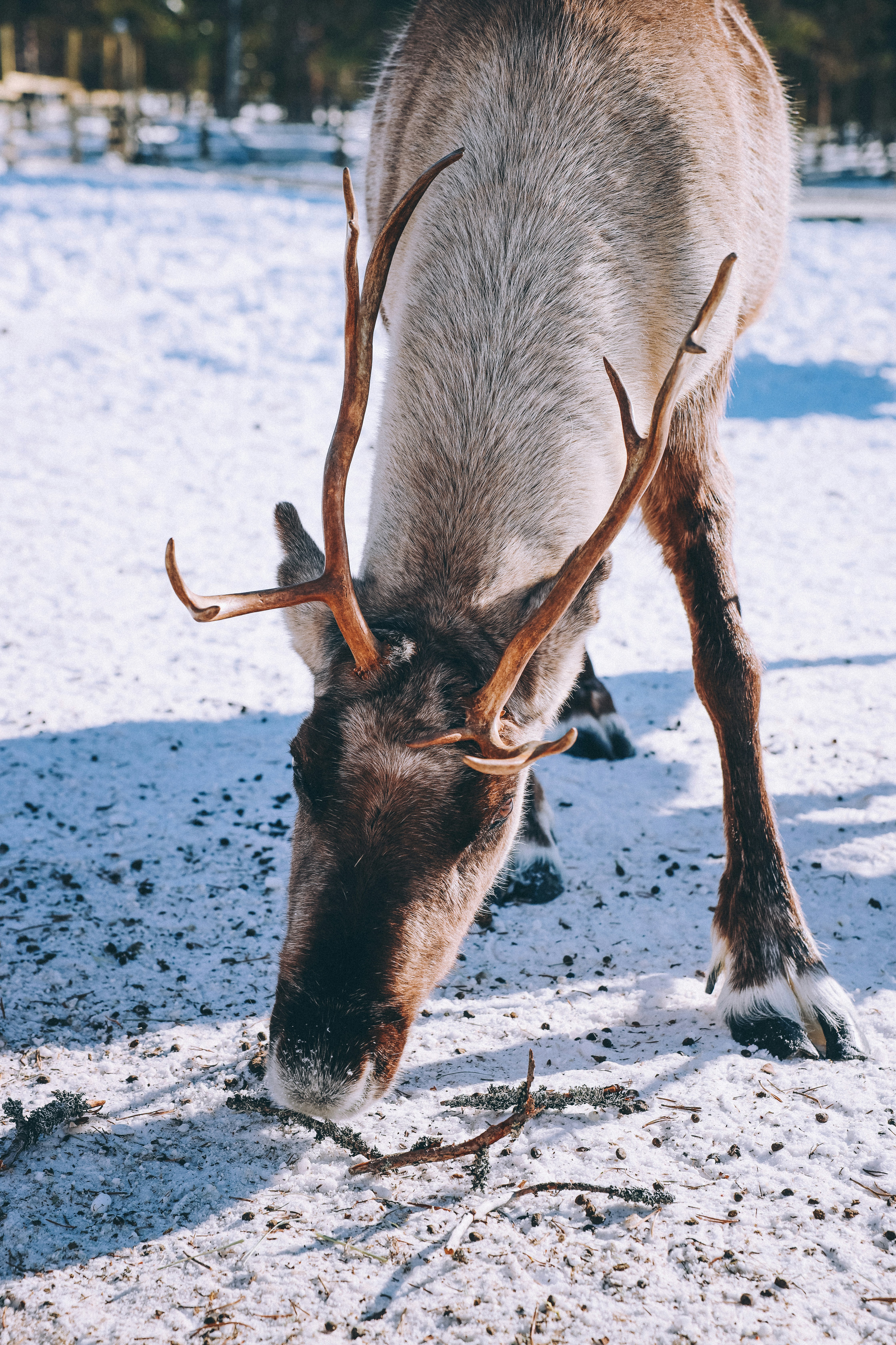 Photo by stephan_deino