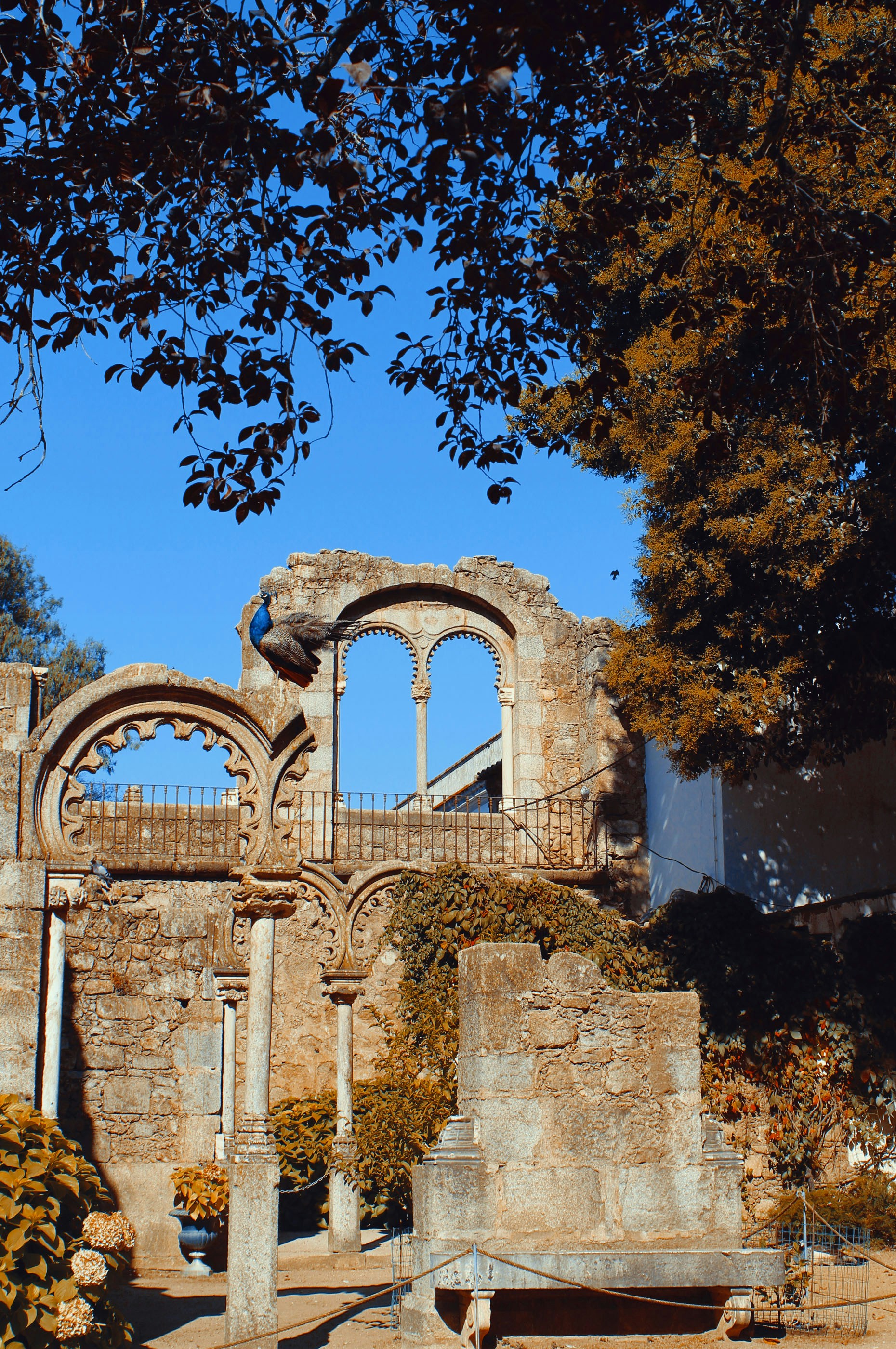 Photo by yaramacchado