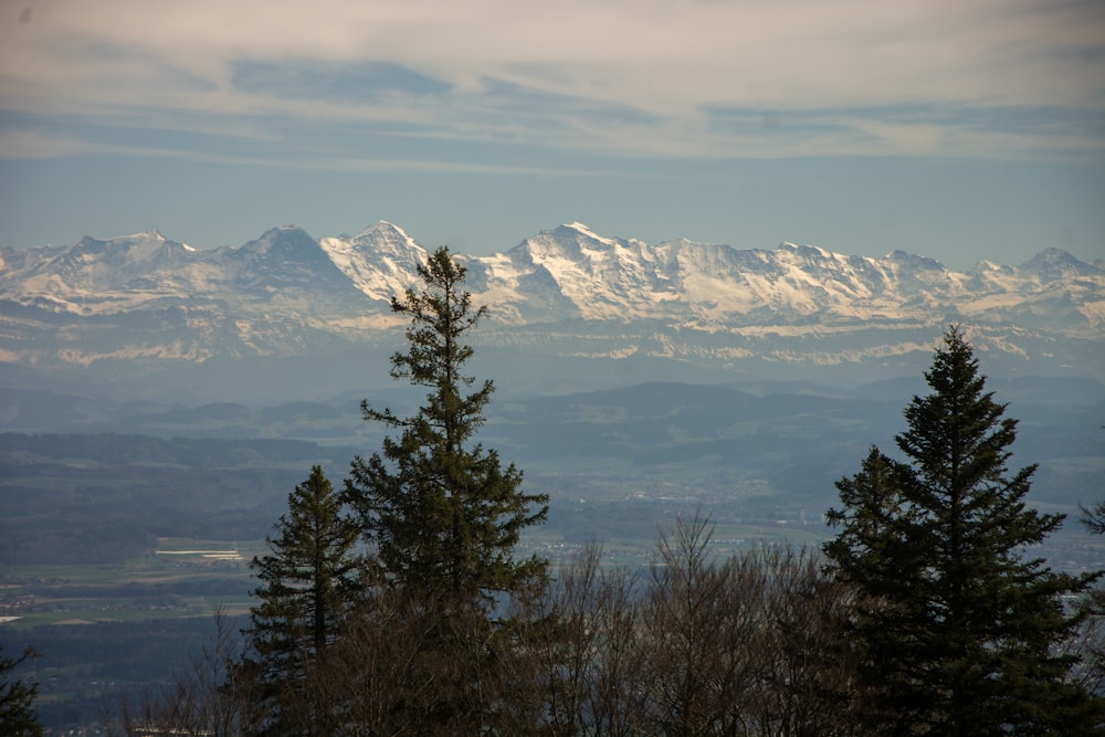 a view of a snowy mountain range from a distance