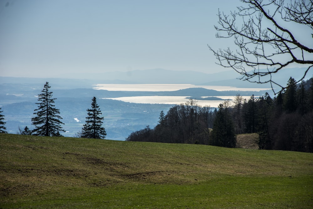 a grassy hill with trees and a body of water in the distance