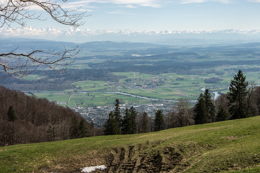 a view of a valley from a hill