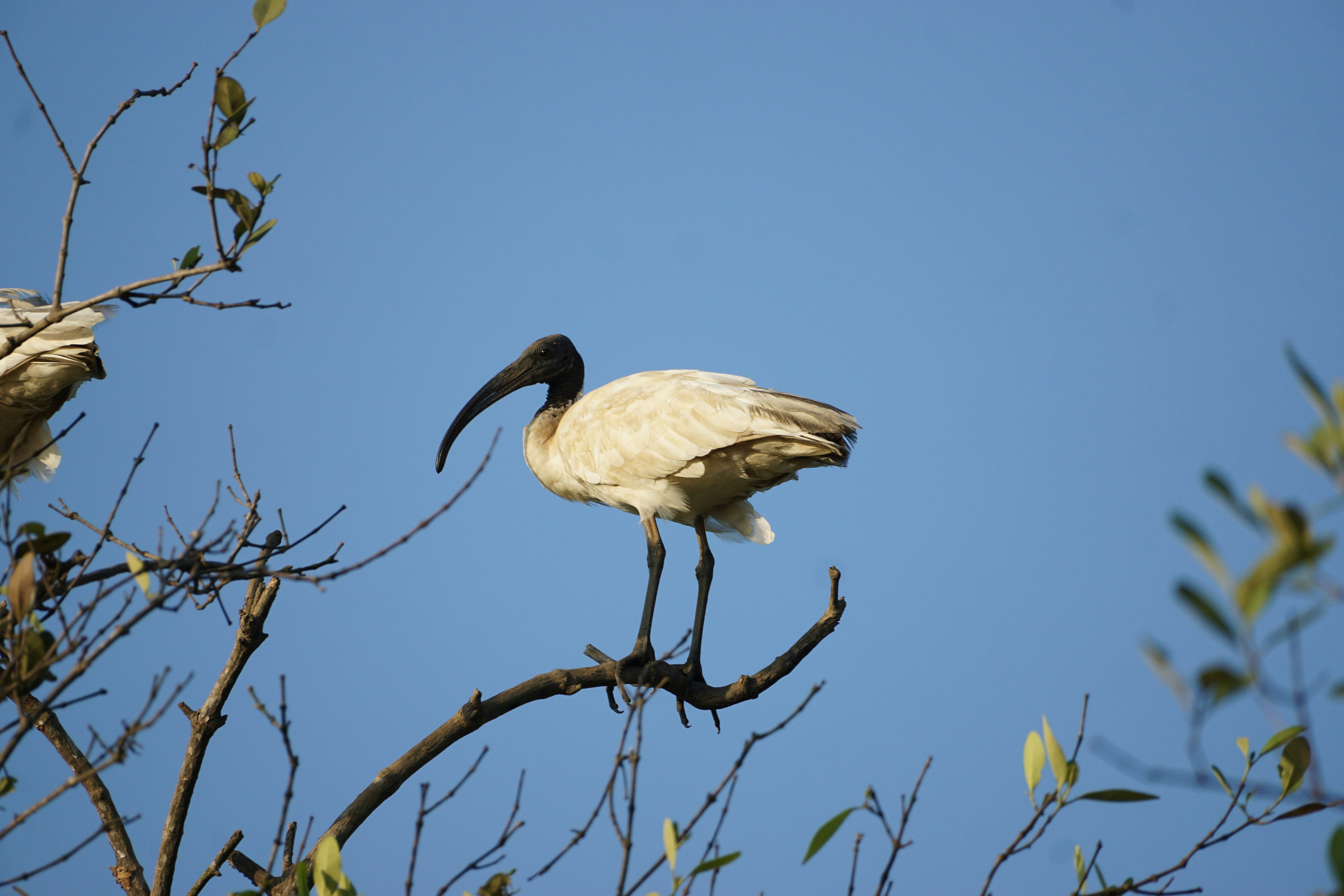 Photo by aryatulsyan