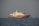 A large, elegant yacht with a wooden hull and white superstructure is floating on calm ocean waters. The weather appears clear with a slight haze near the horizon.