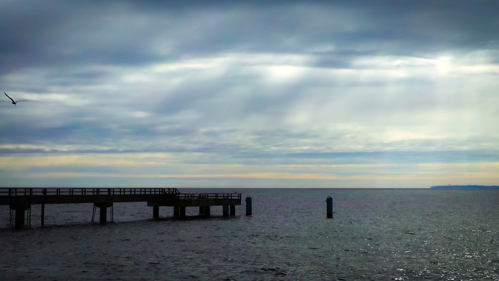 a bird flying over a body of water under a cloudy sky