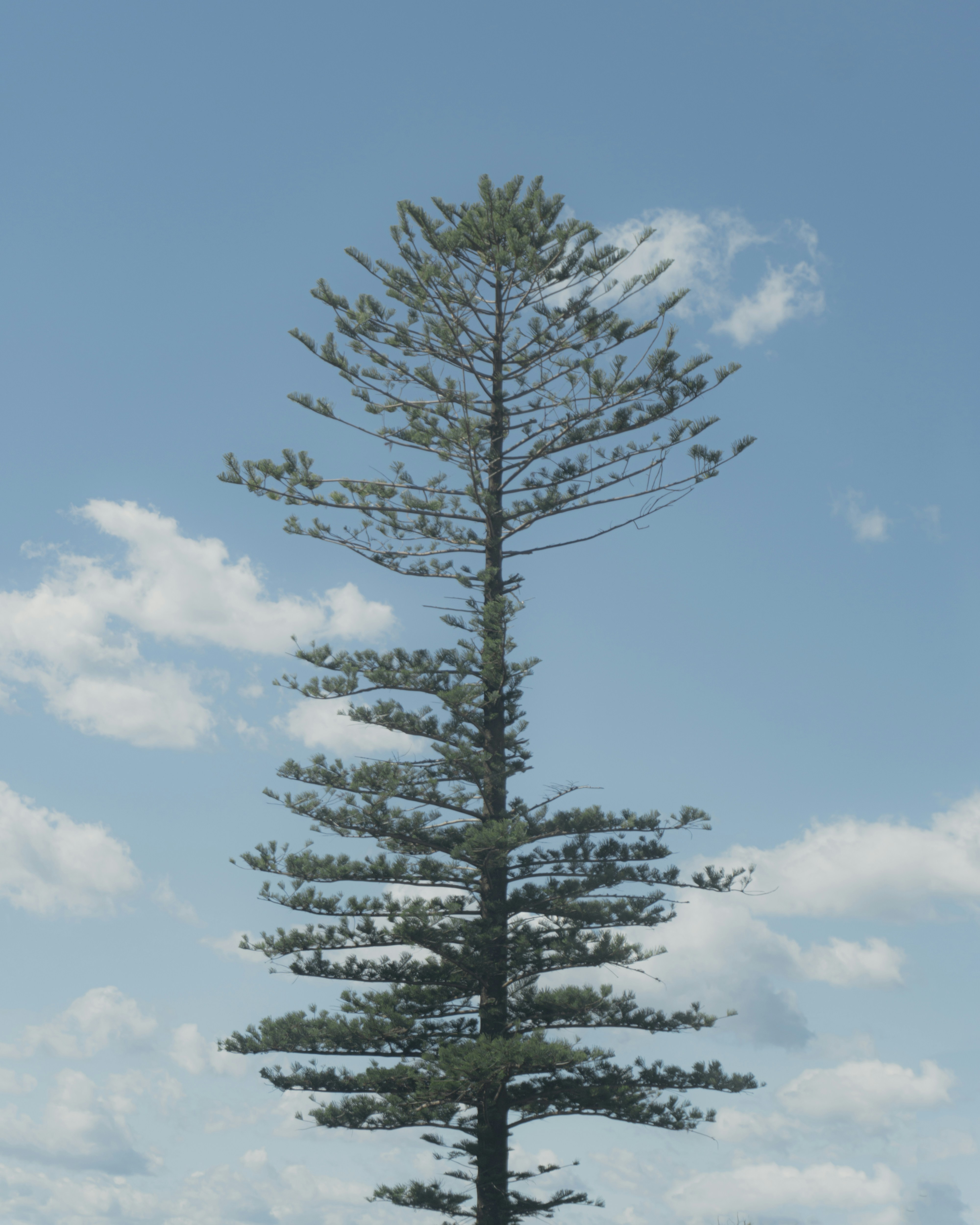 Photo by moon_the_boi