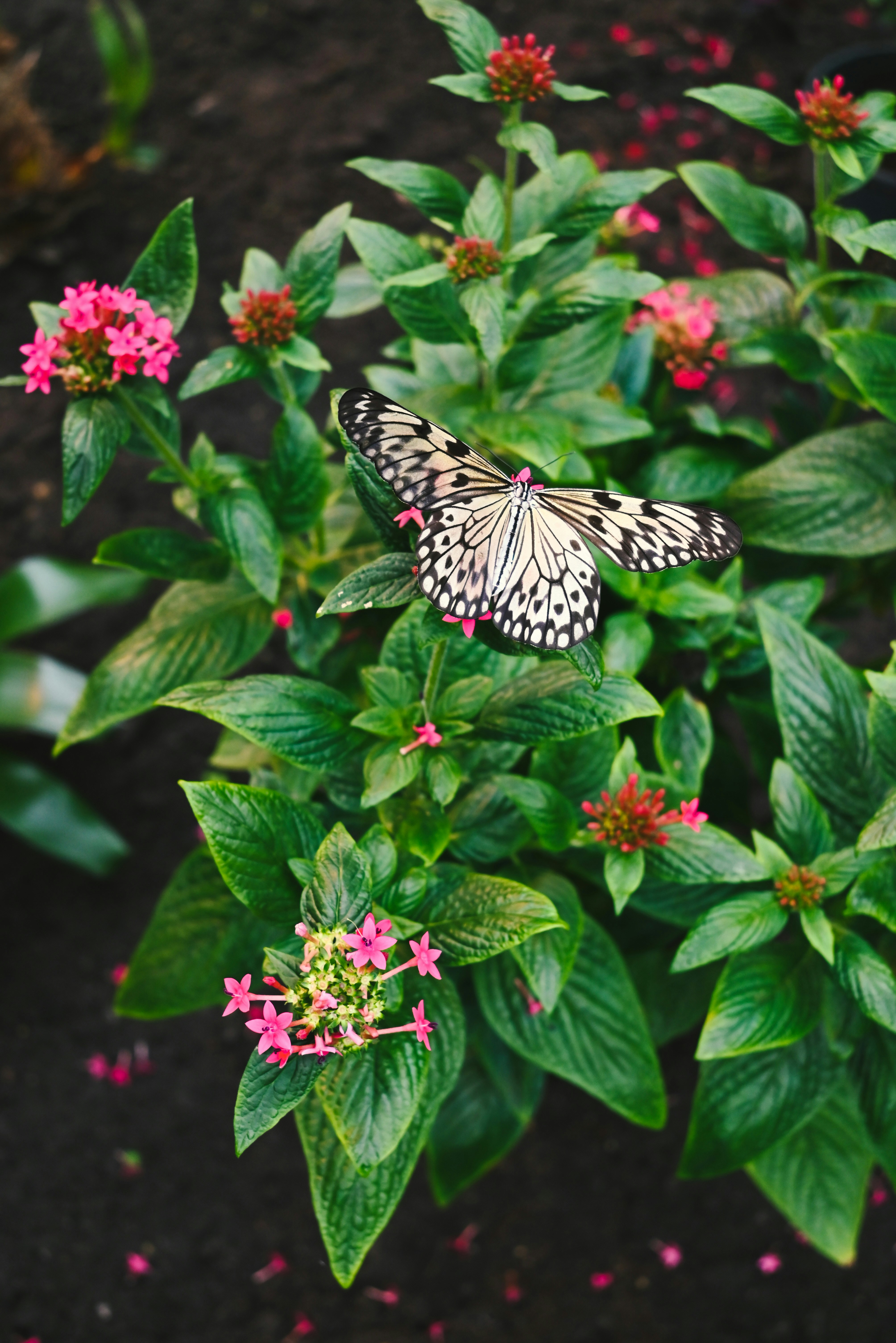 Photo by mortezakhalili