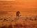 A solo traveler photographing a lion at sunrise in Ngorongoro.