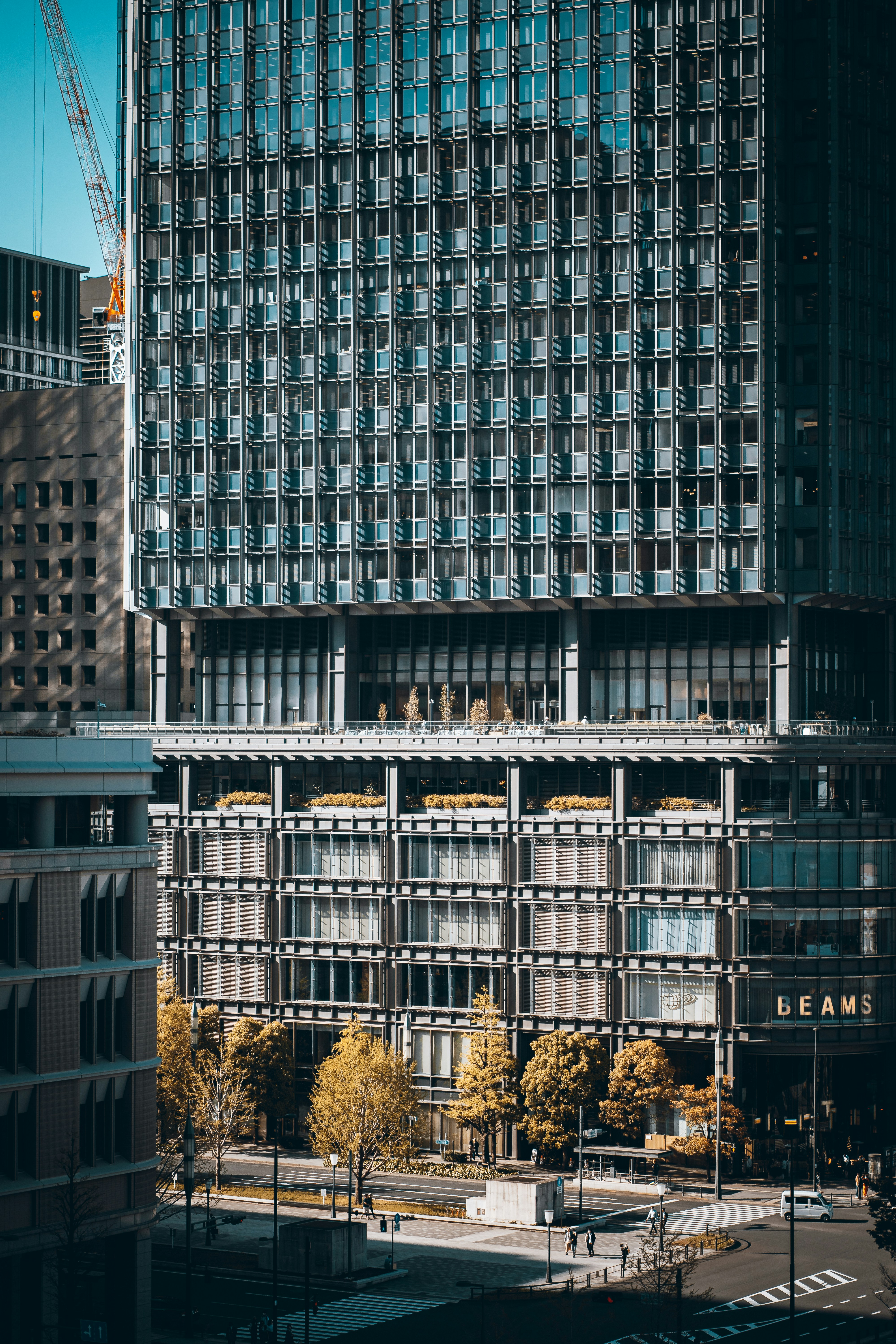 Photo by shields_mcmxcix