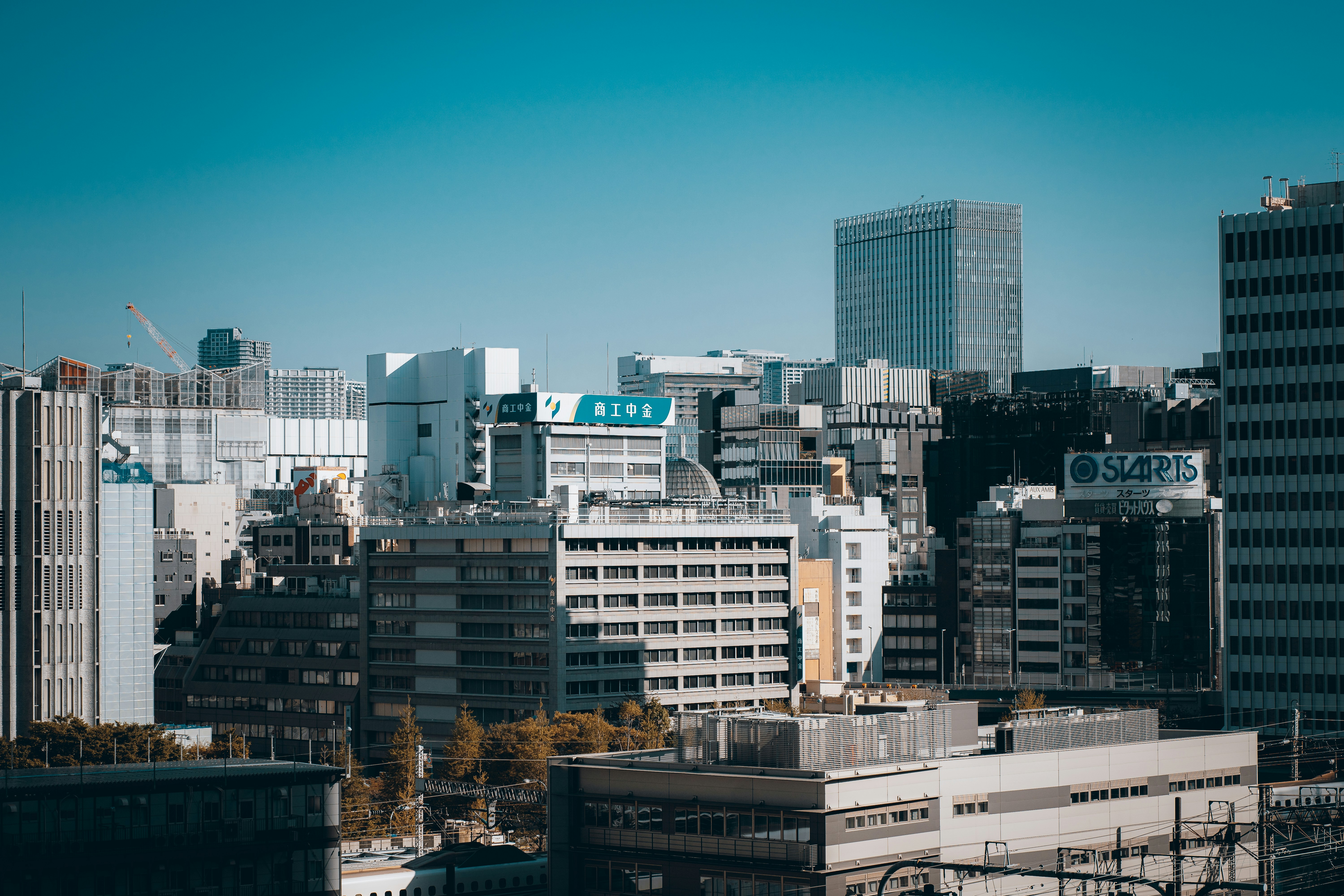 Photo by shields_mcmxcix