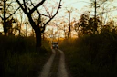 a truck driving down a dirt road through a forest