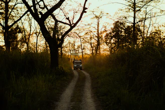 a truck driving down a dirt road through a forest