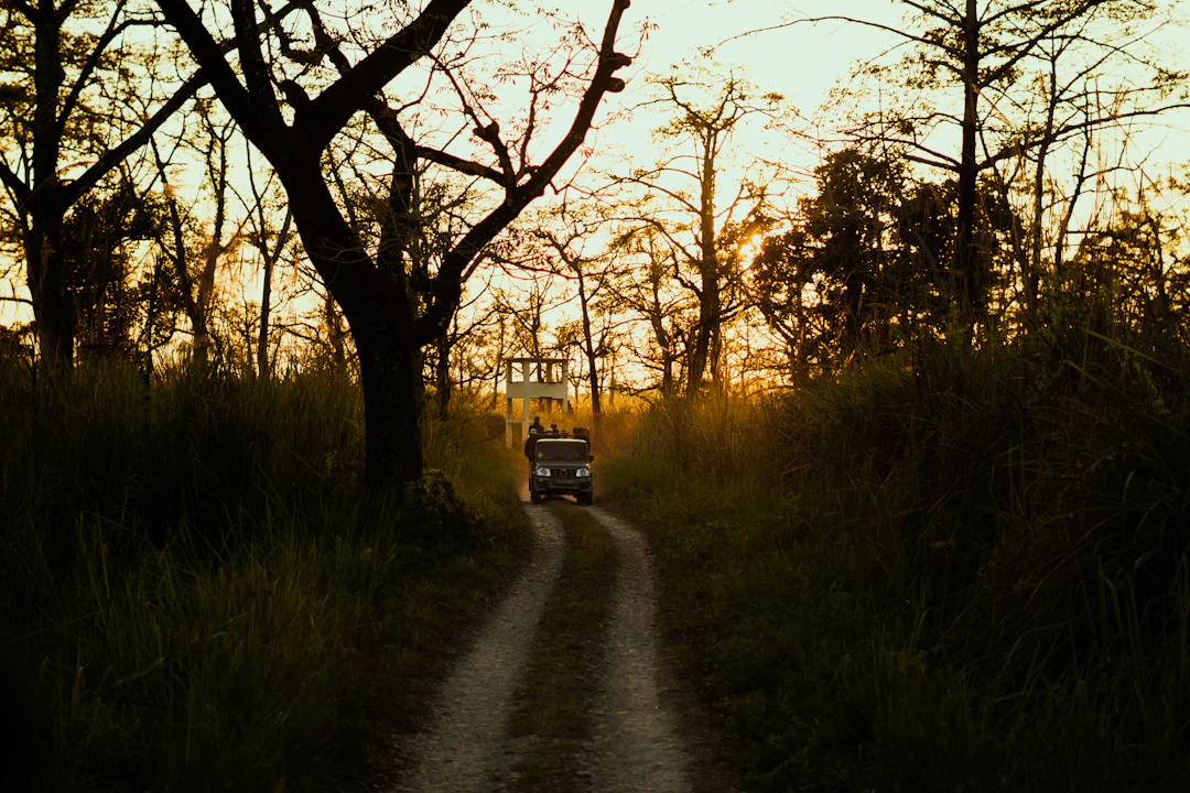 3-Day Budget Chitwan Itinerary | Backpacking Nepal Guide