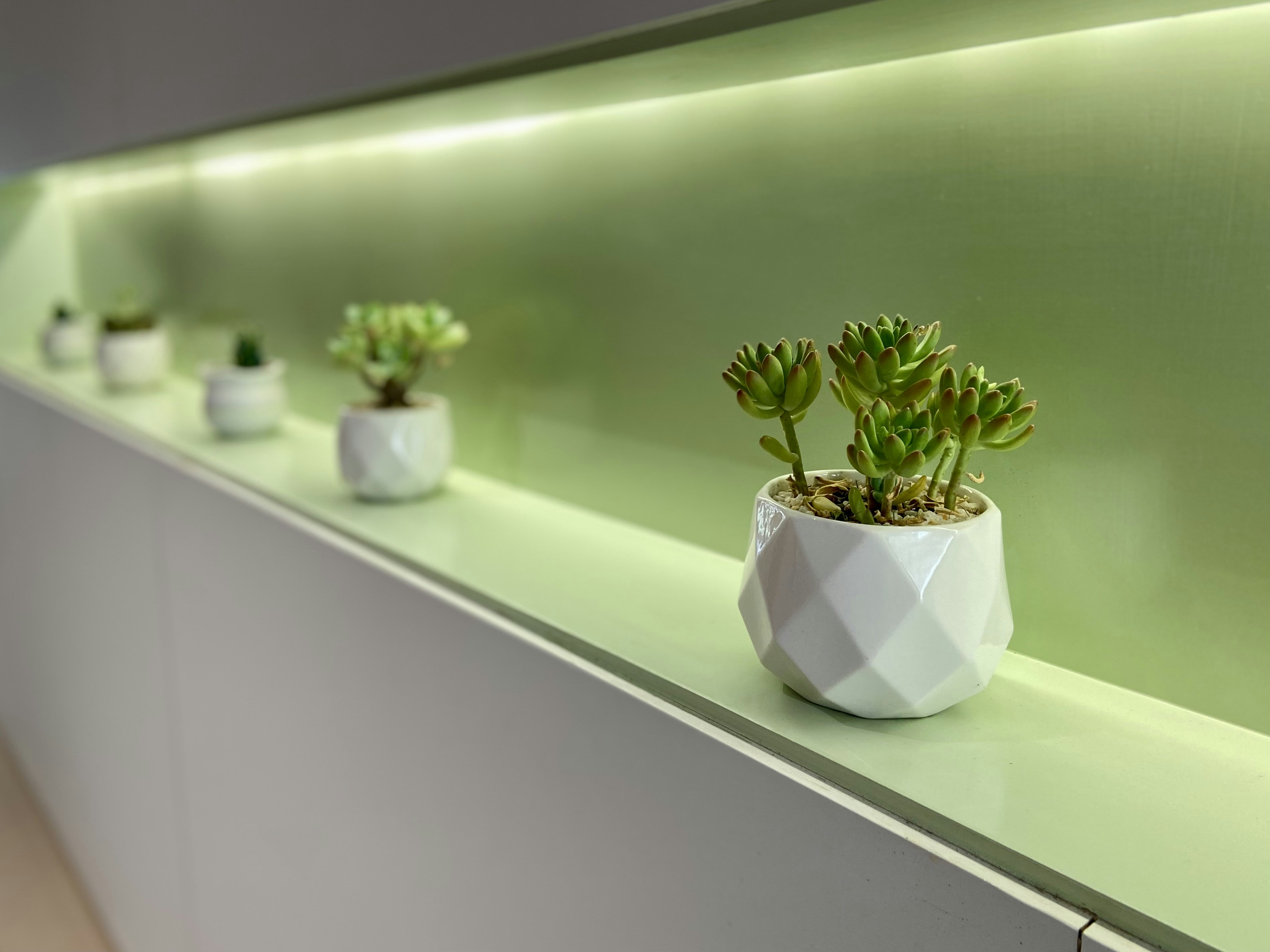 A row of potted plants sitting on top of a shelf photo – Free Plant ...