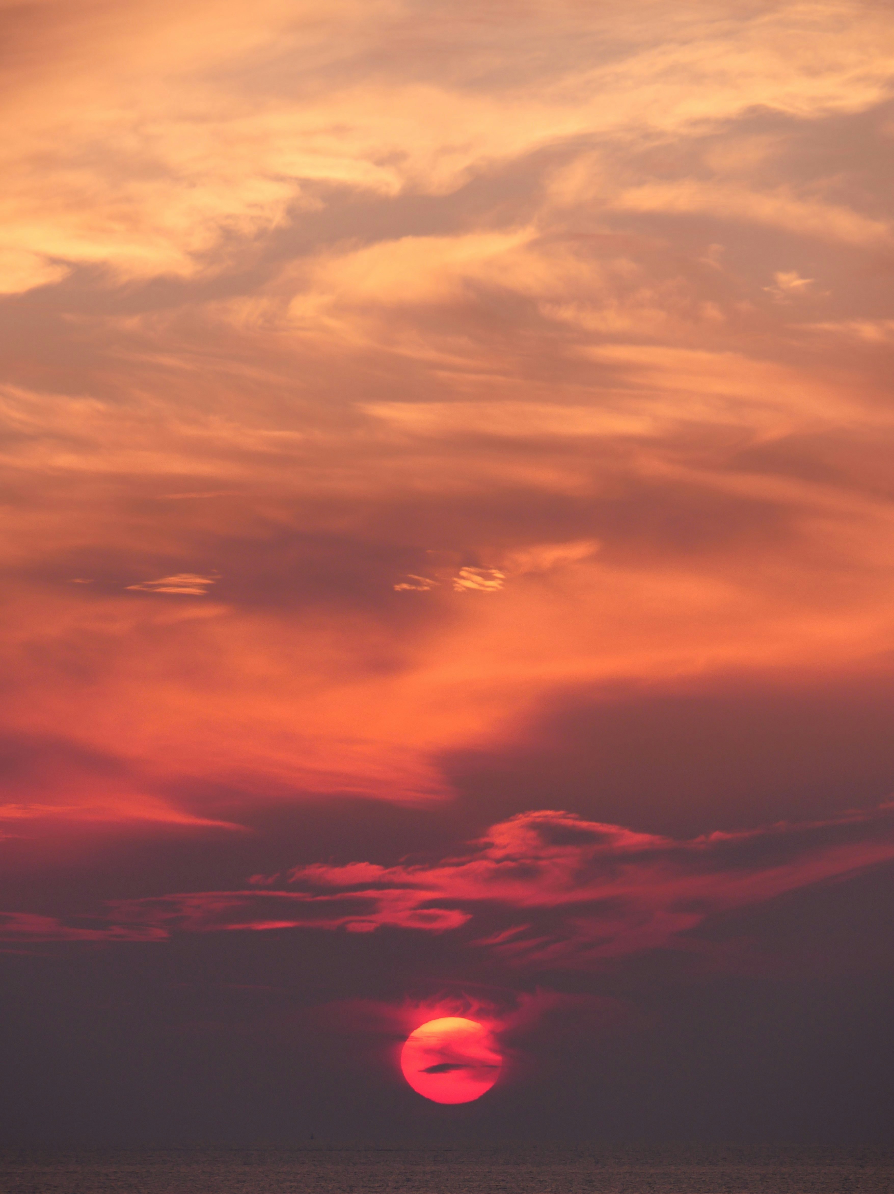 Photo by nimbus_vulpis