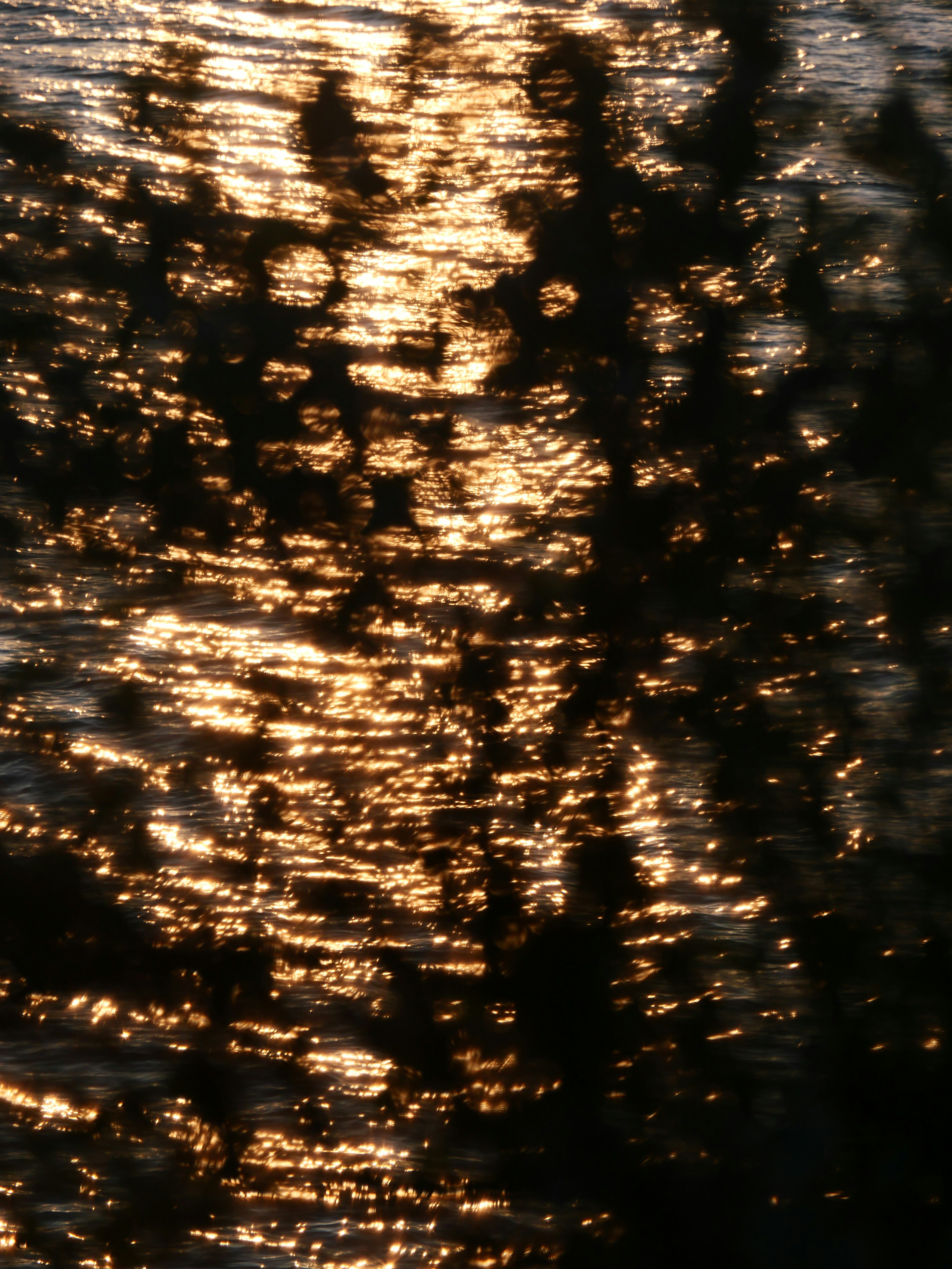 Photo by nimbus_vulpis