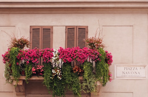 A wall featuring a balcony adorned with vibrant pink and red flowers, along with rich green foliage. Brown wooden shutters are closed behind the floral arrangement. To the right, a sign reads 'Piazza Navona, Stadio di Domiziano.'
