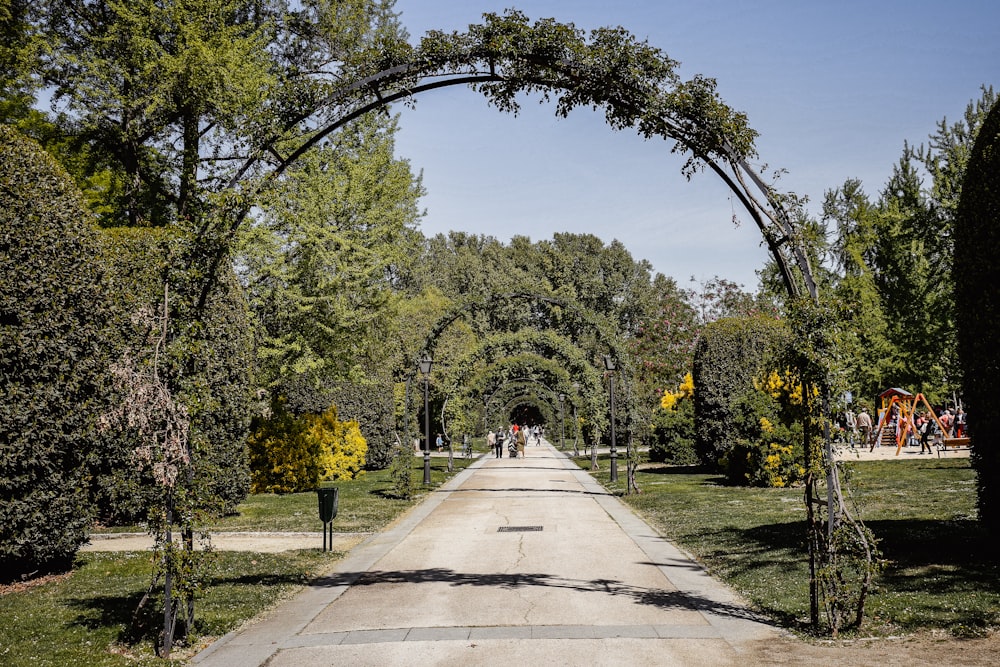 a long road surrounded by lush green trees