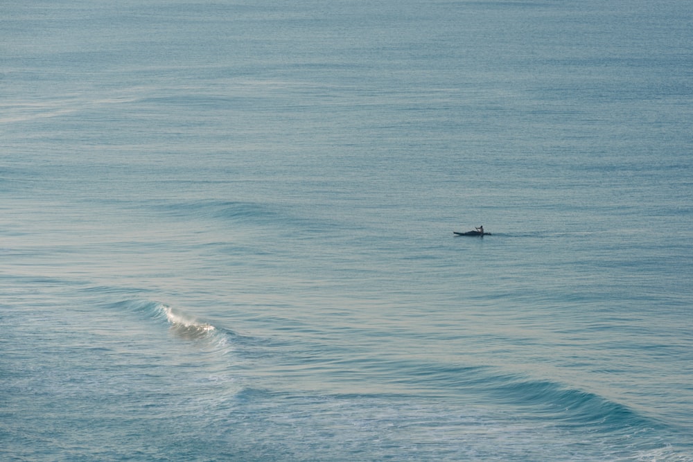 Eine Person, die auf einem Surfbrett auf einer Welle im Meer fährt