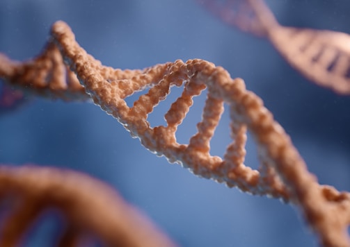 A close-up view of a DNA double helix structure, showing the intricate winding pattern of the strands. The background is blurred, emphasizing the DNA strands which have a textured, organic appearance.