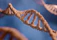 Close-up of a glowing DNA helix floating in a dark void, illuminated by neon cyan and magenta lights.