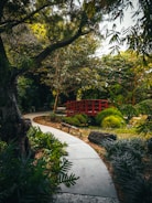 A winding stone walkway leading through a vibrant garden.
