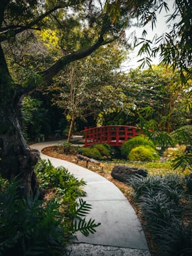 A winding stone walkway leading through a vibrant garden.