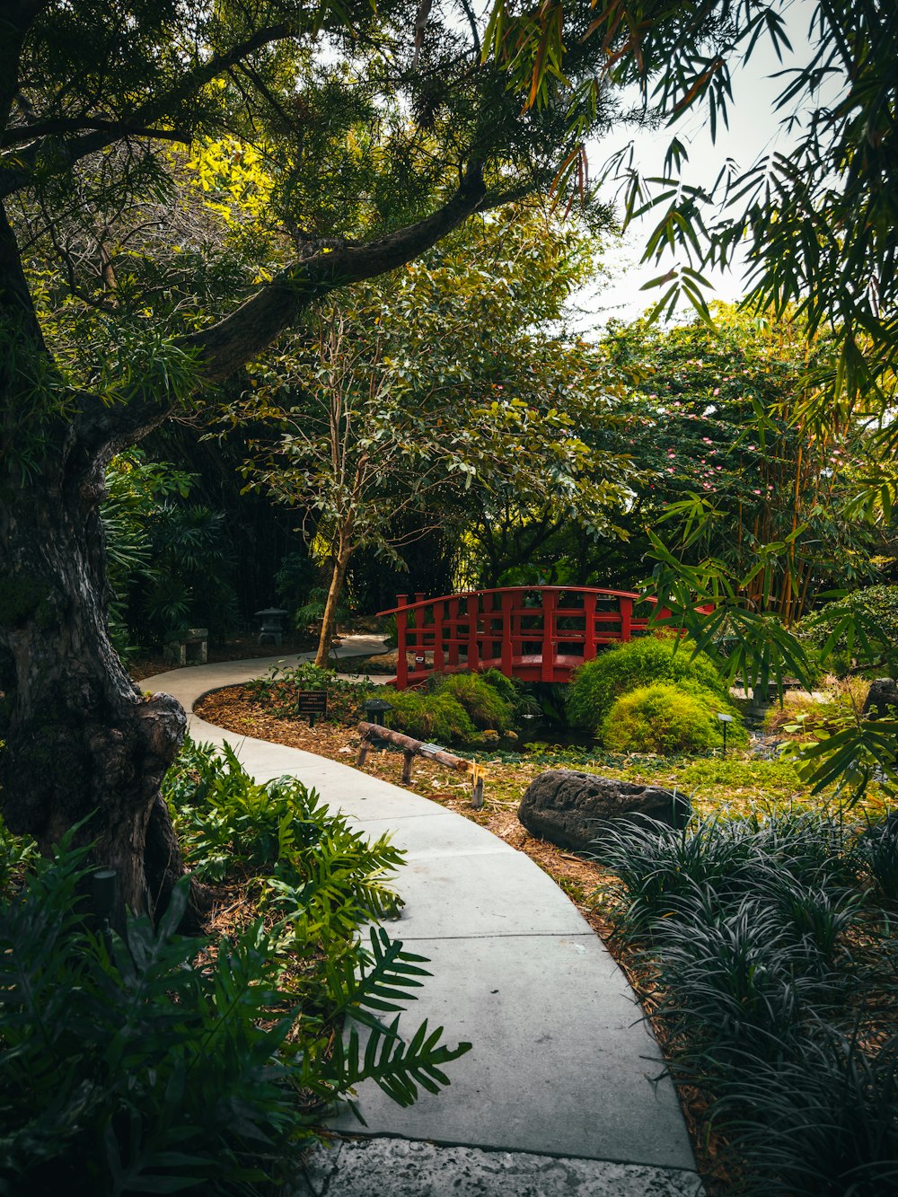 a red bridge in the middle of a garden