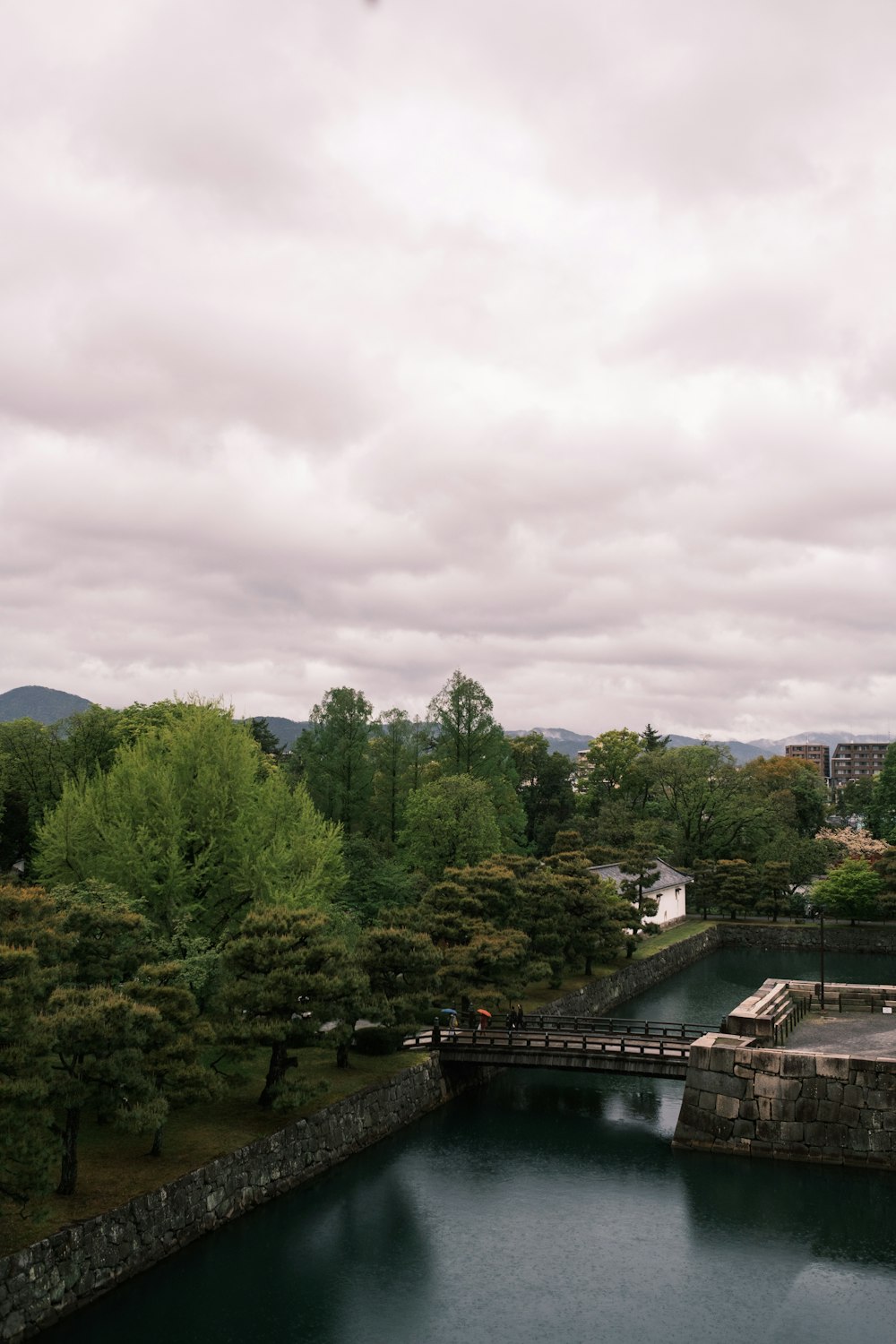 a large body of water surrounded by trees