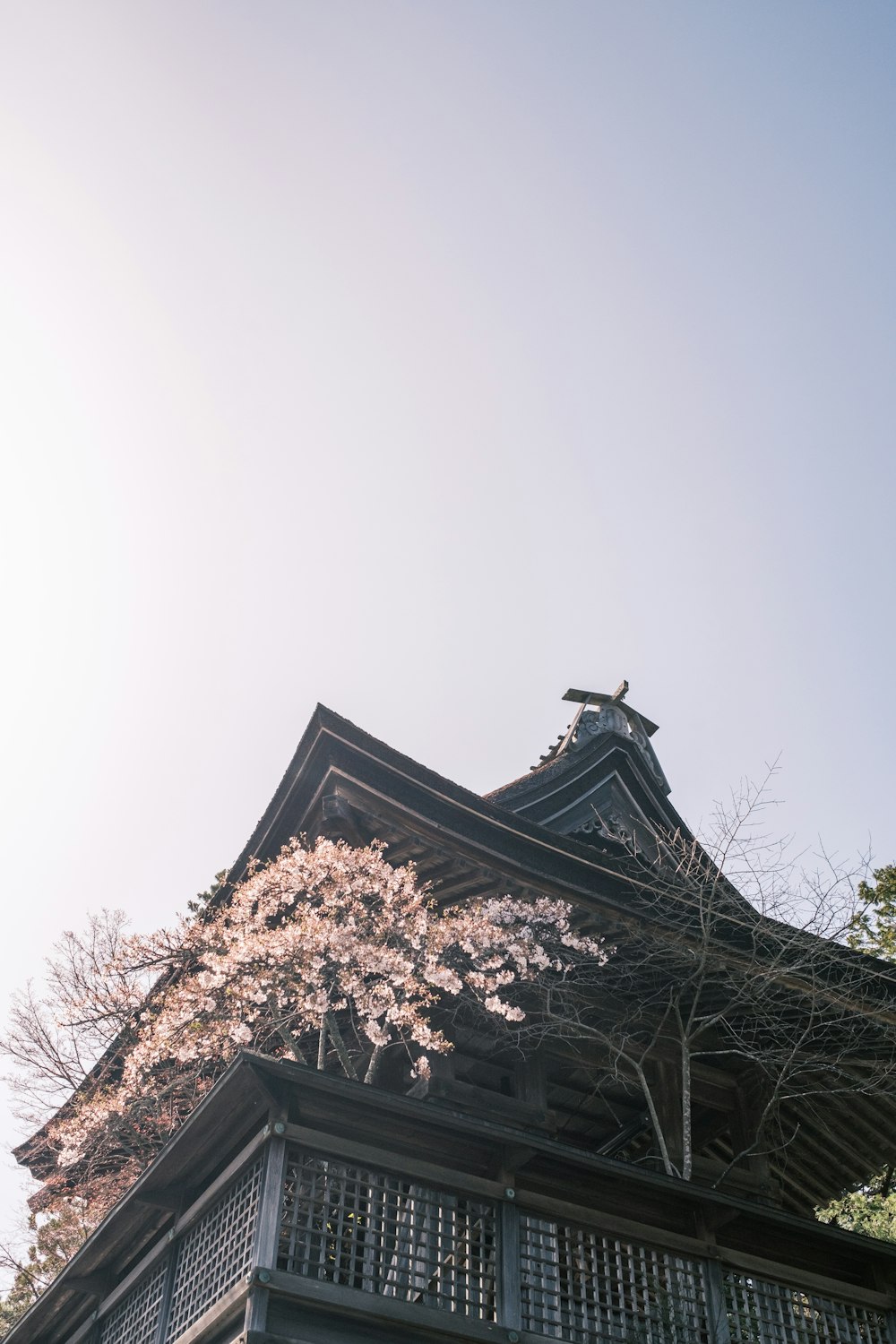 a tall building with a tree in front of it