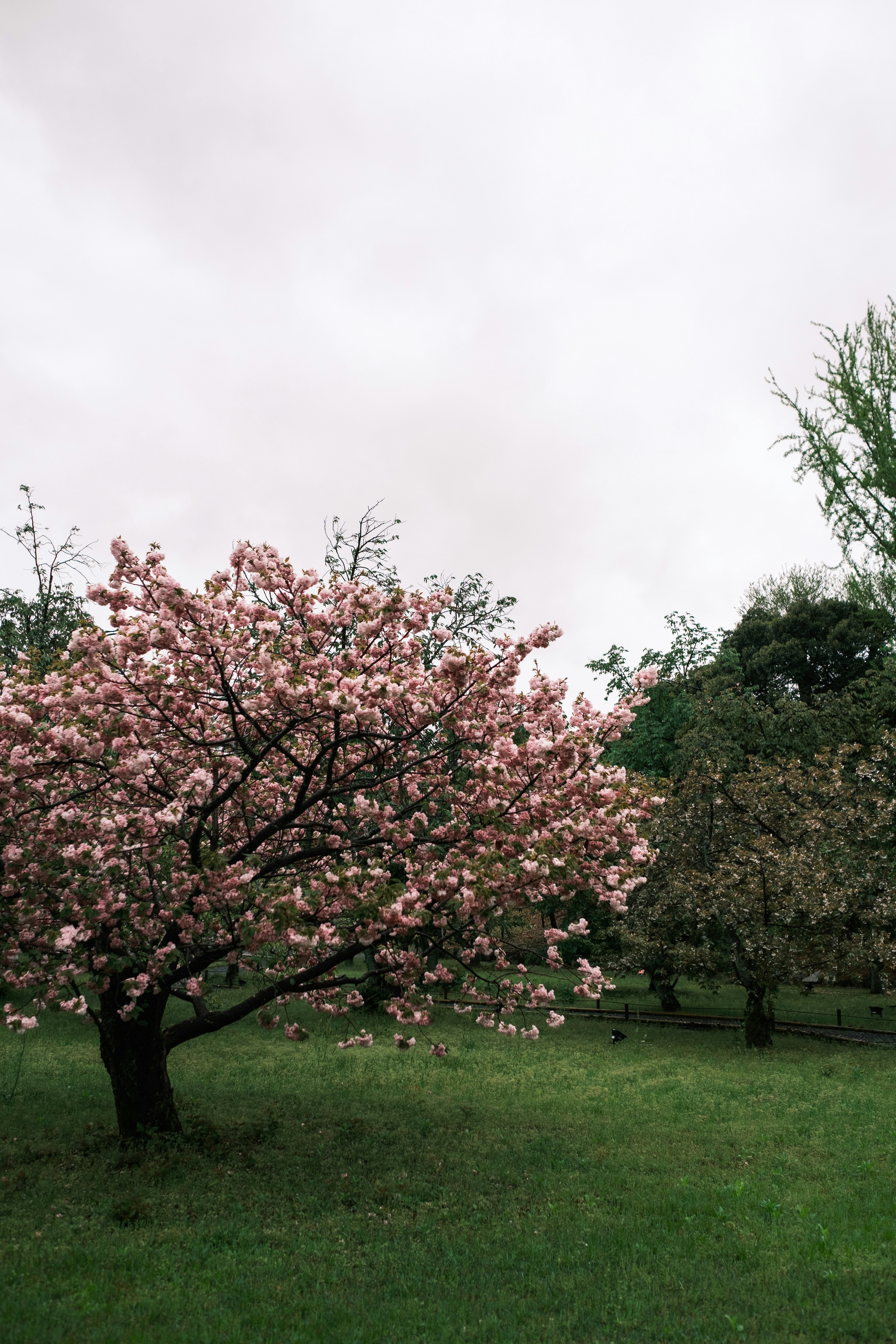 Photo by lifeofdaniel