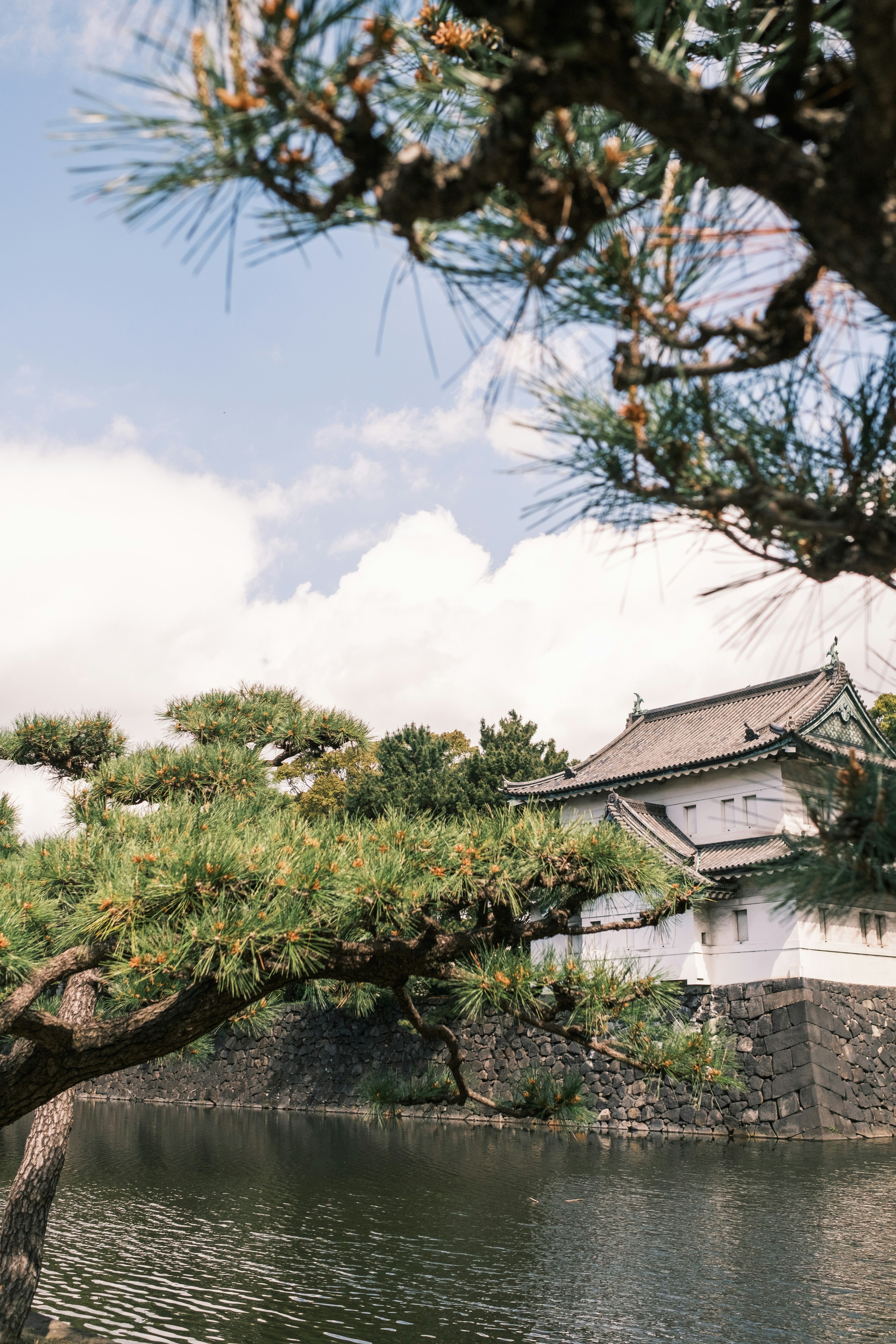 Photo by lifeofdaniel