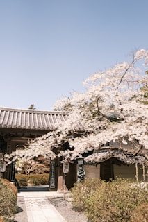 A serene temple entrance framed by blooming flowers under a clear blue sky