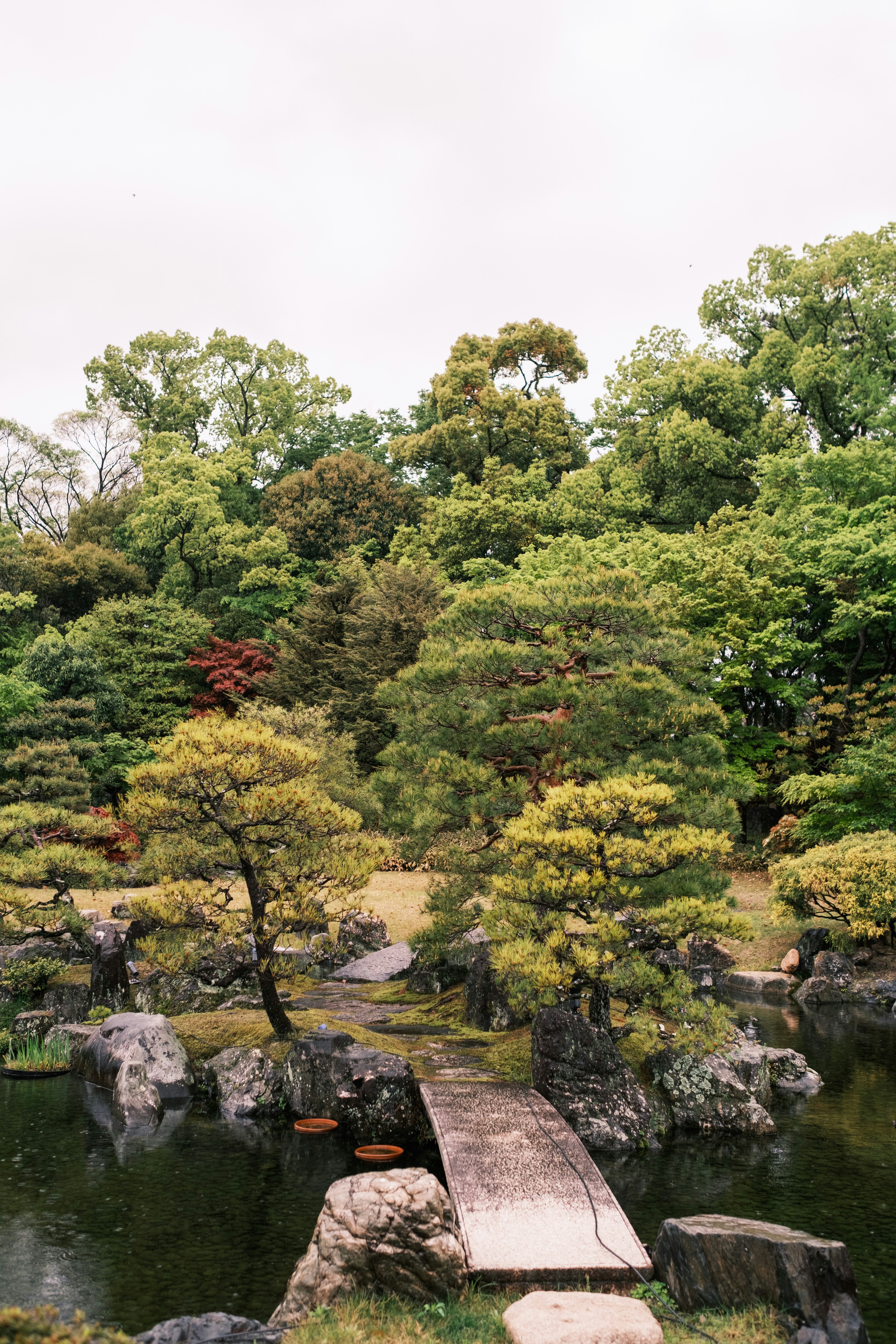 Todoroki Valley, green river in Tokyo