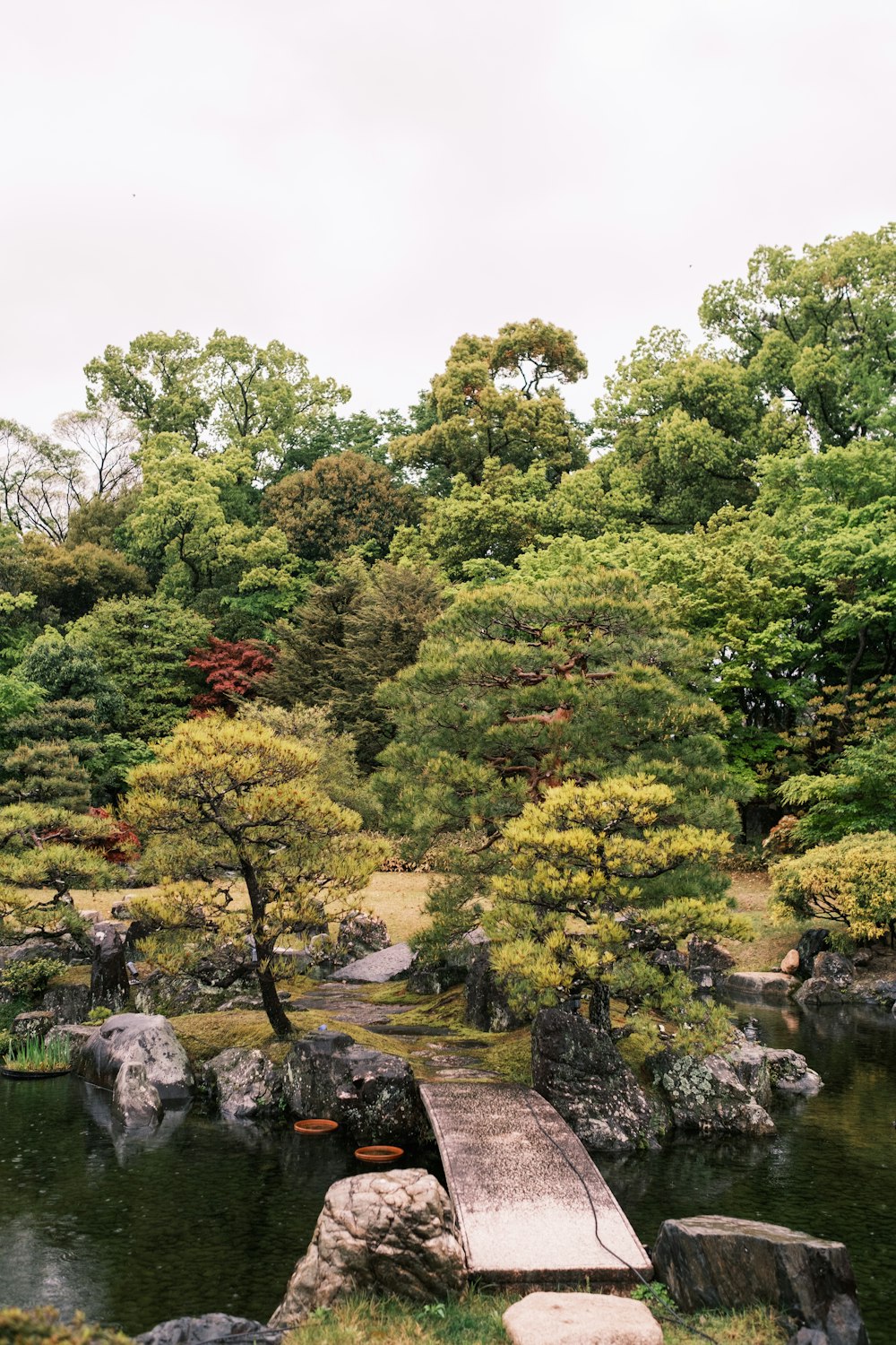 a small wooden bridge over a body of water