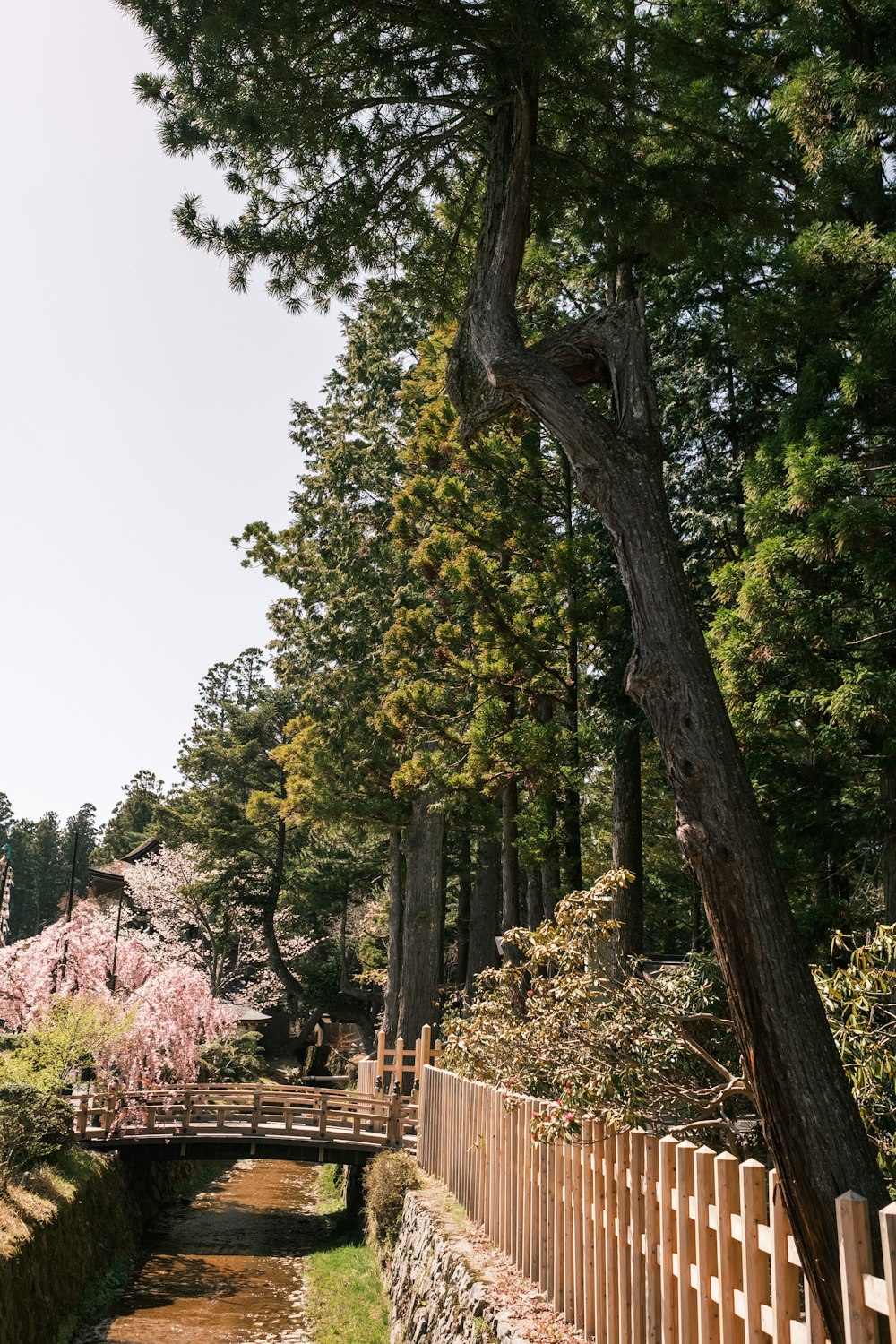 um pequeno riacho que atravessa um parque ao lado de uma cerca de madeira