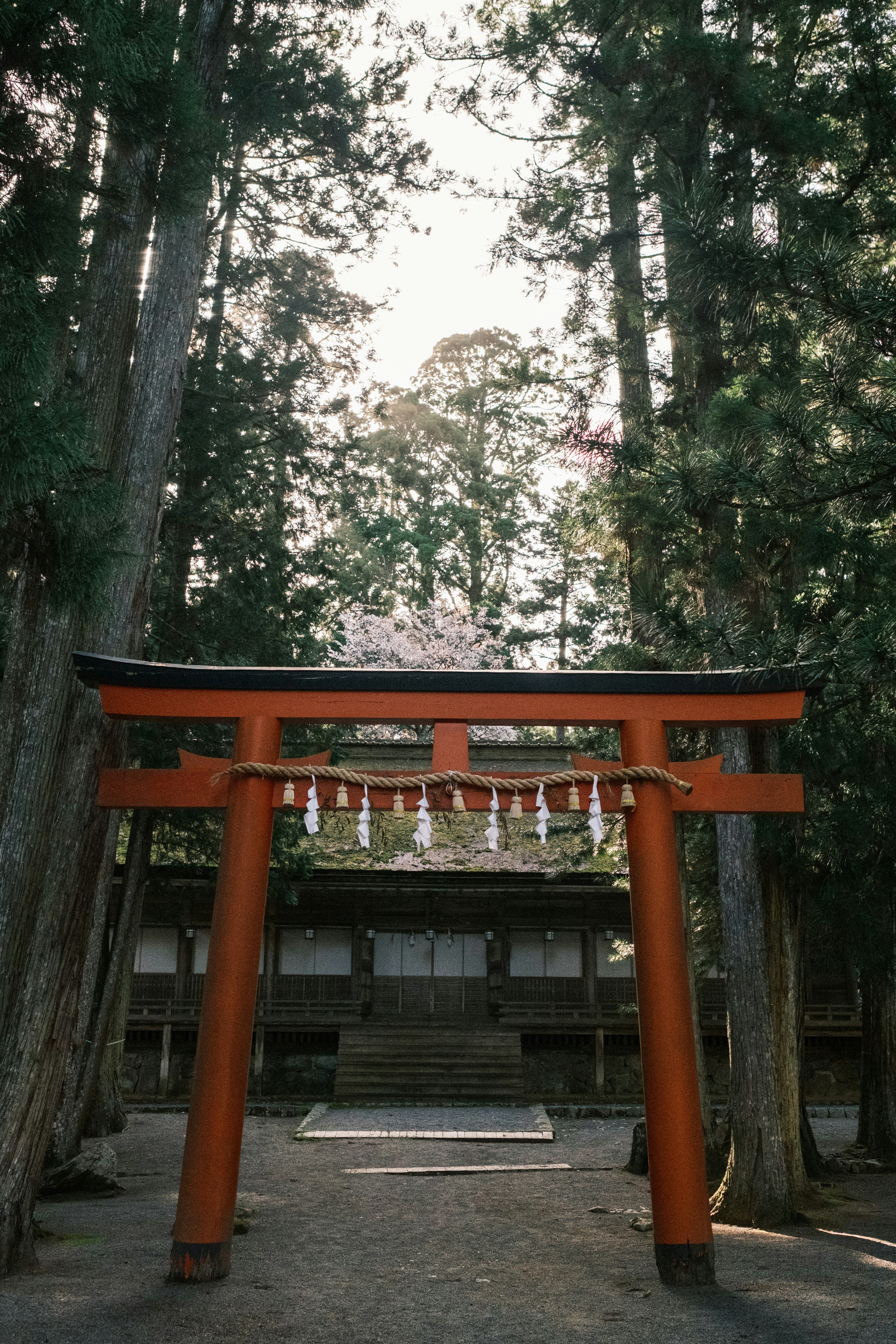 Photo by lifeofdaniel