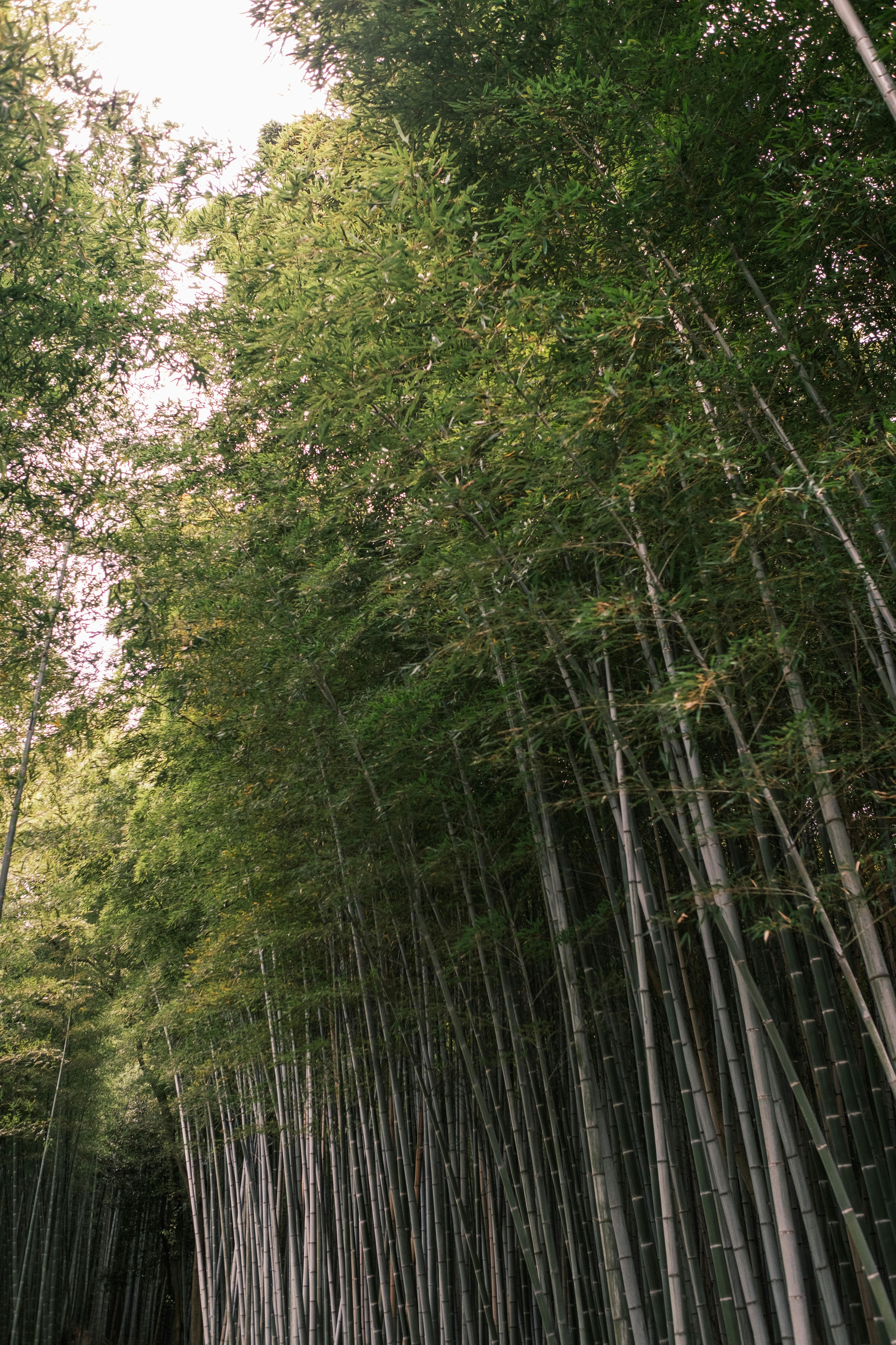 Photo by lifeofdaniel