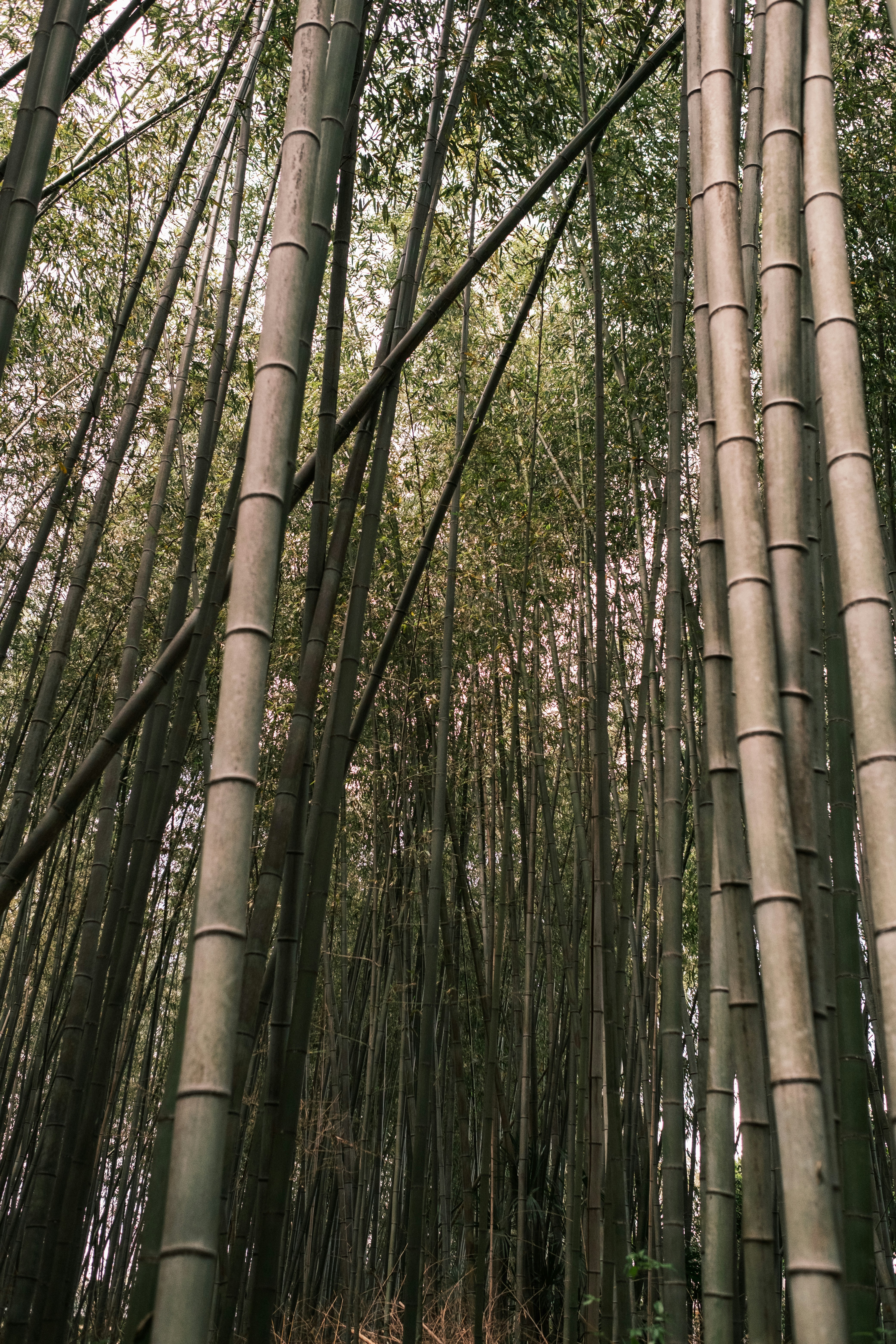 Photo by lifeofdaniel