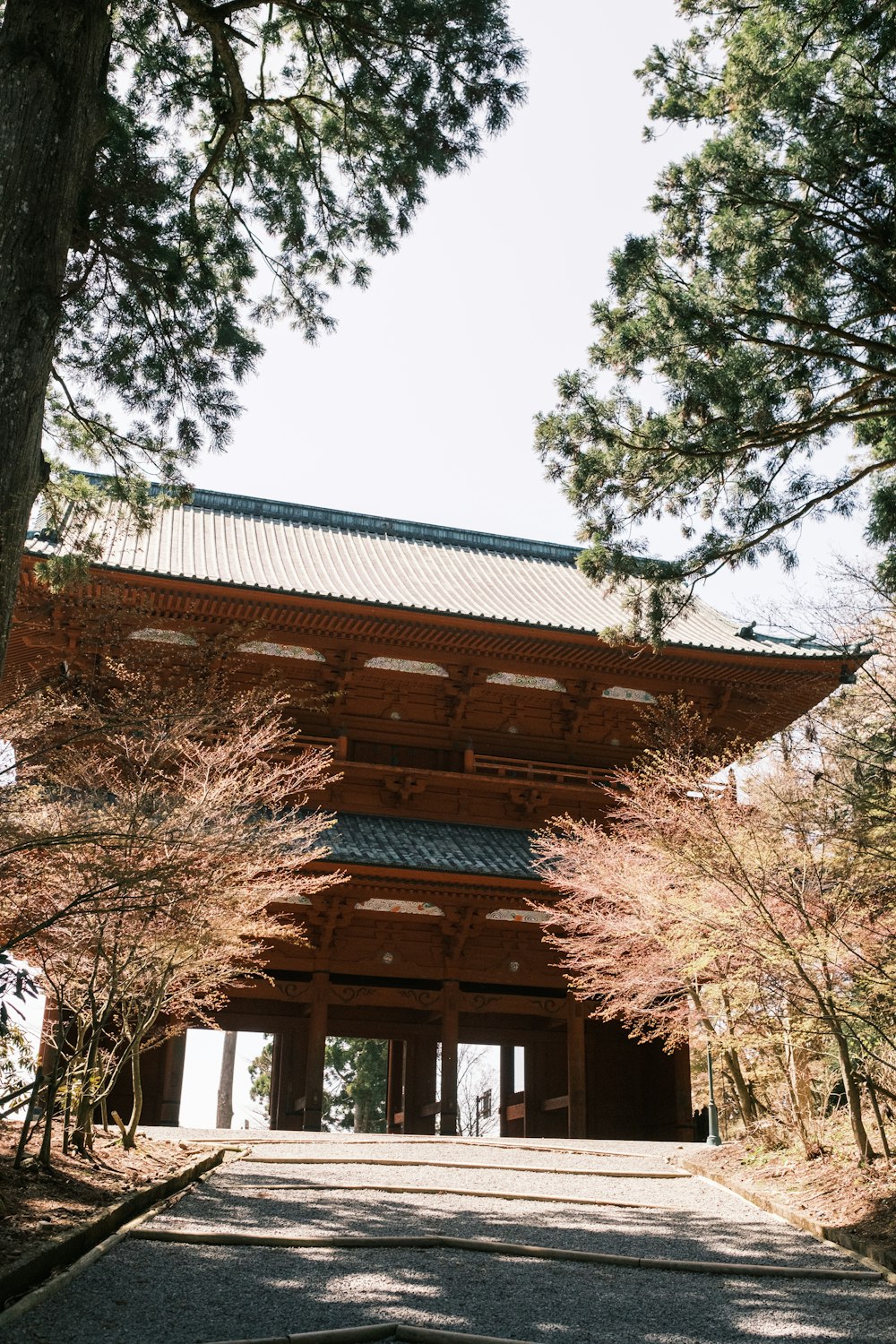 a tall wooden building surrounded by trees
