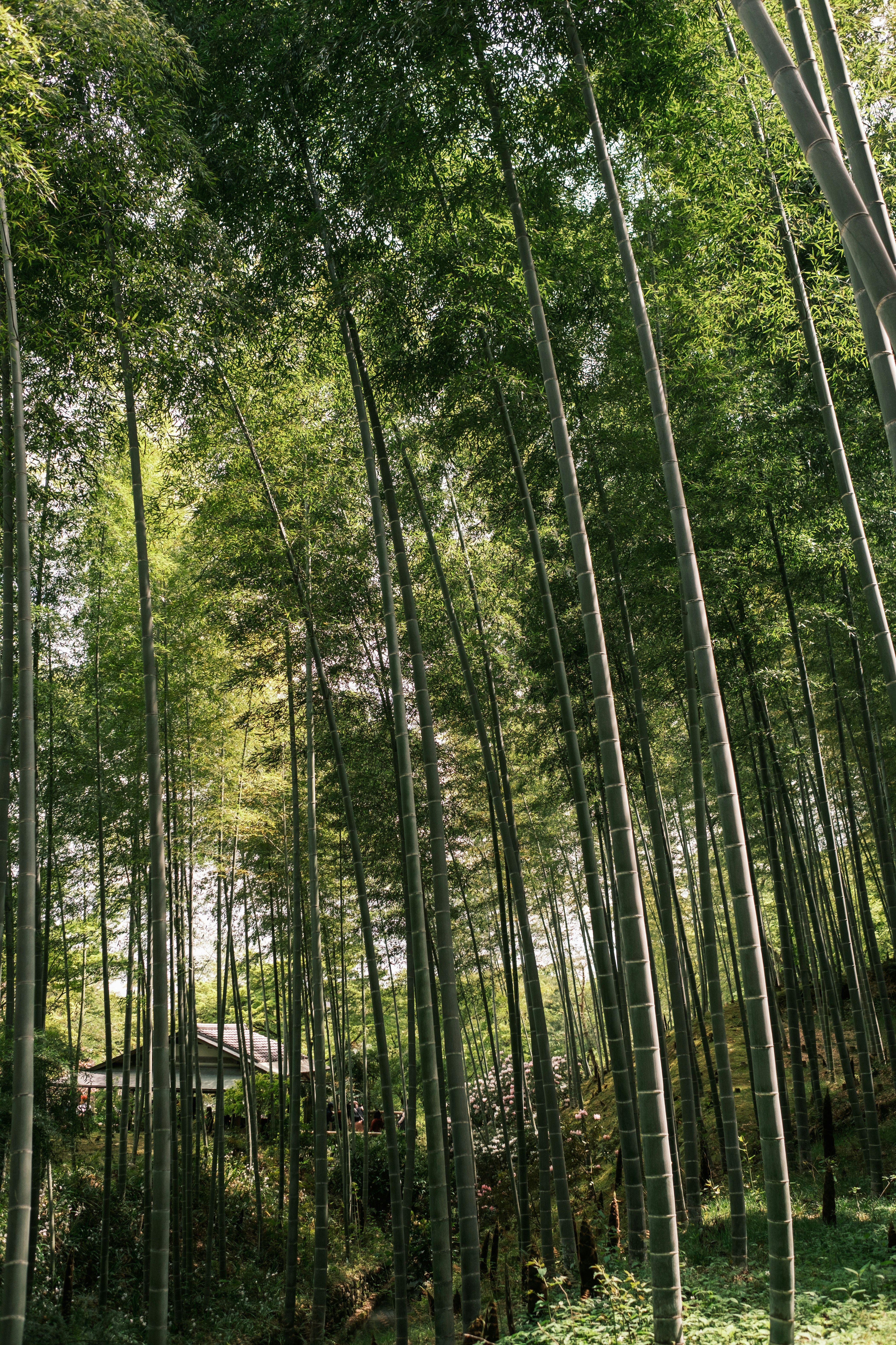 Photo by lifeofdaniel