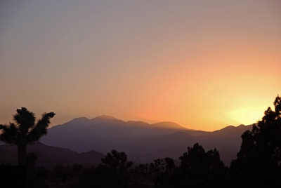 Silhouetted desert landscape with a range of mountains in the distance, under a vibrant sunset sky. The scene includes a few prominent Joshua trees in the foreground, adding a majestic yet serene quality to the image.