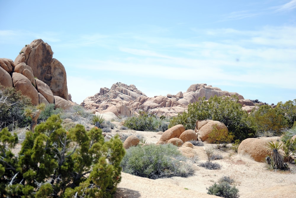 a large rock formation in the middle of a desert