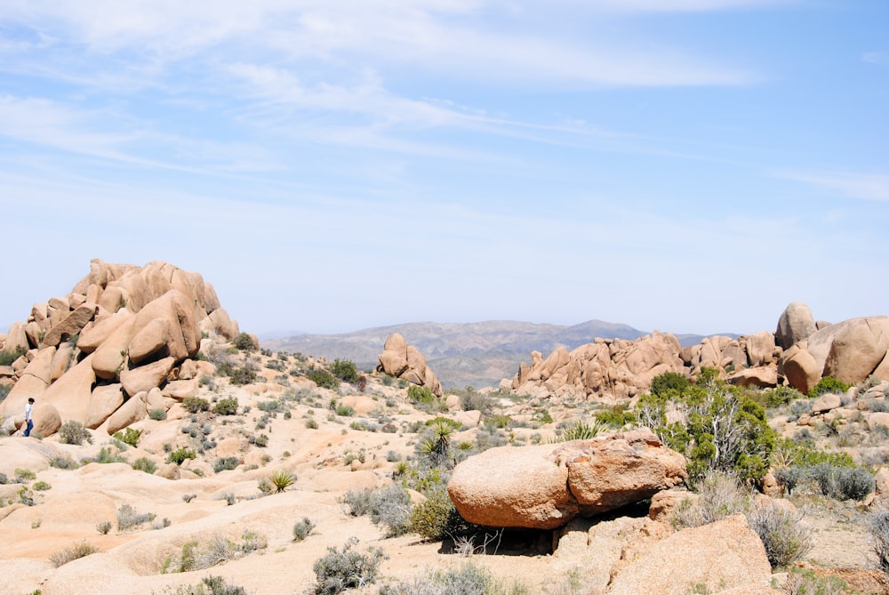 a large rock in the middle of a desert