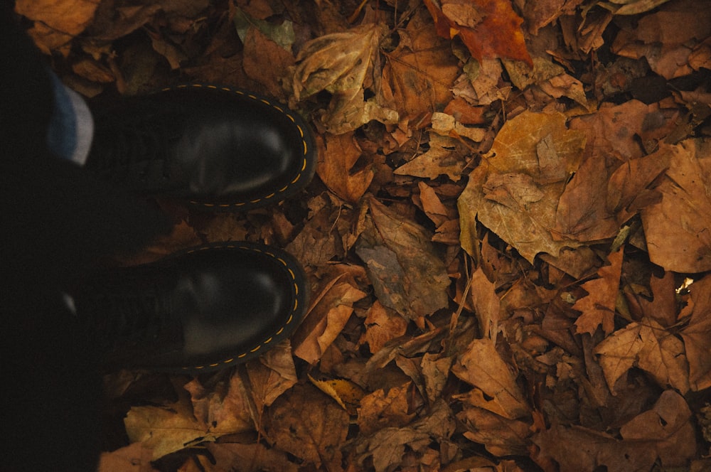 a person standing in a pile of leaves