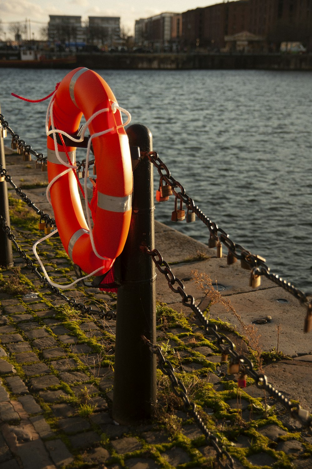 a life preserver on a chain next to a body of water