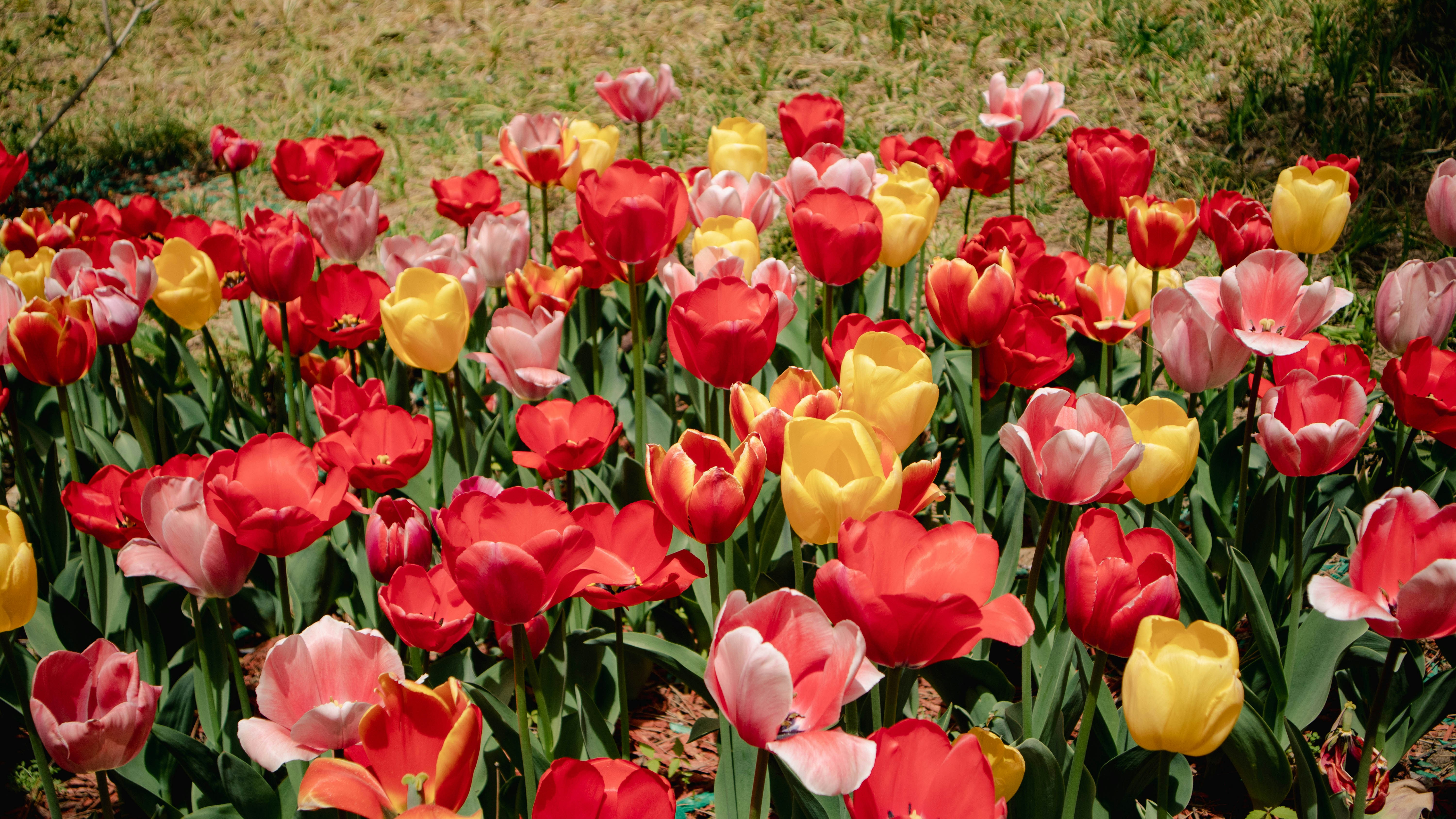 Photo by jiahaoliang