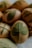 Eggs are decorated with green leaf patterns, likely created using a natural dyeing technique. The leaves appear to be pressed against the eggs, creating a detailed imprint of their veins and shapes. The colors are muted, with a soft focus that adds to an organic, rustic feel.