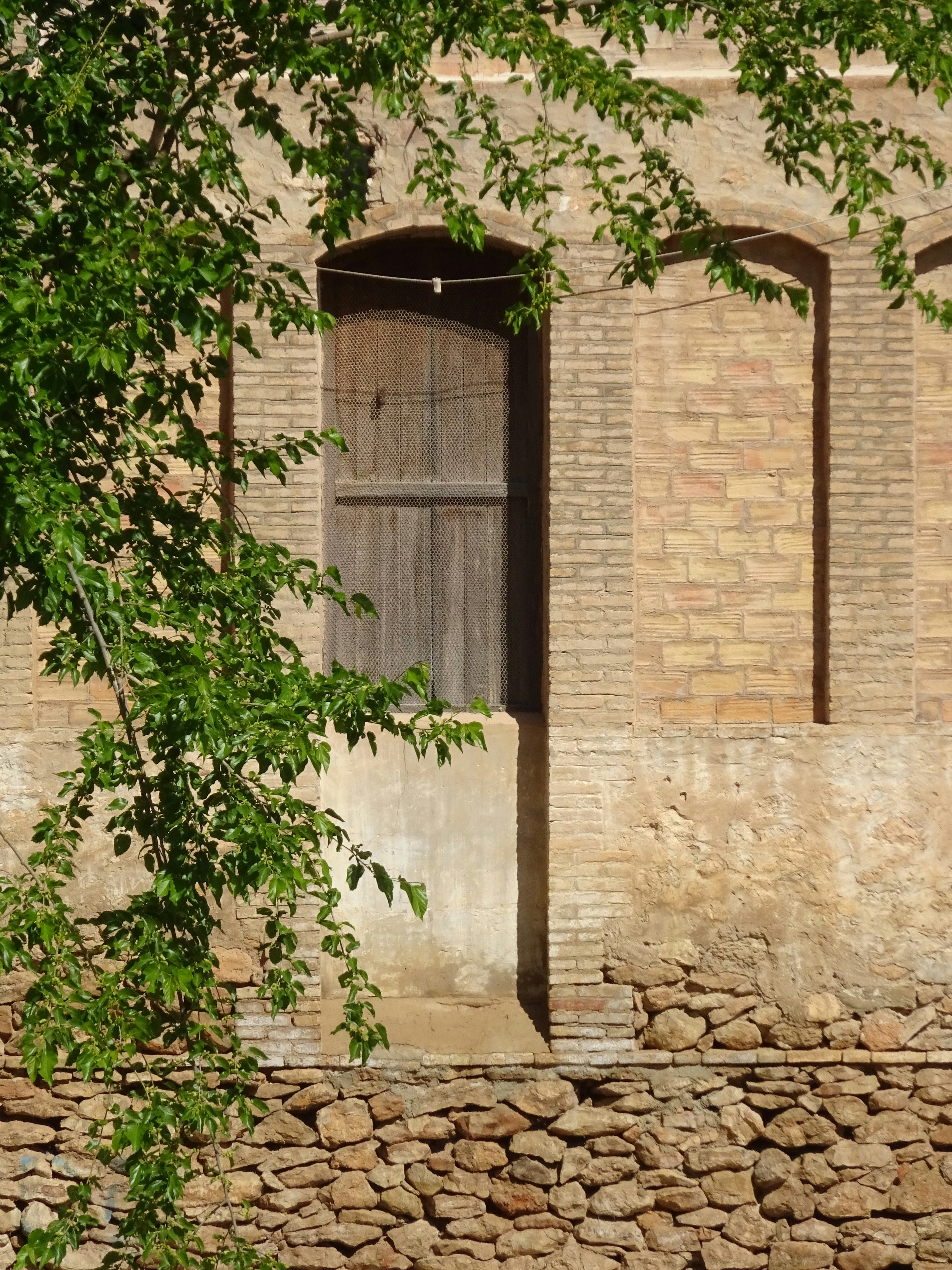 Photo by ludovico_06