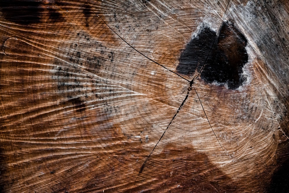 a close up of a piece of wood