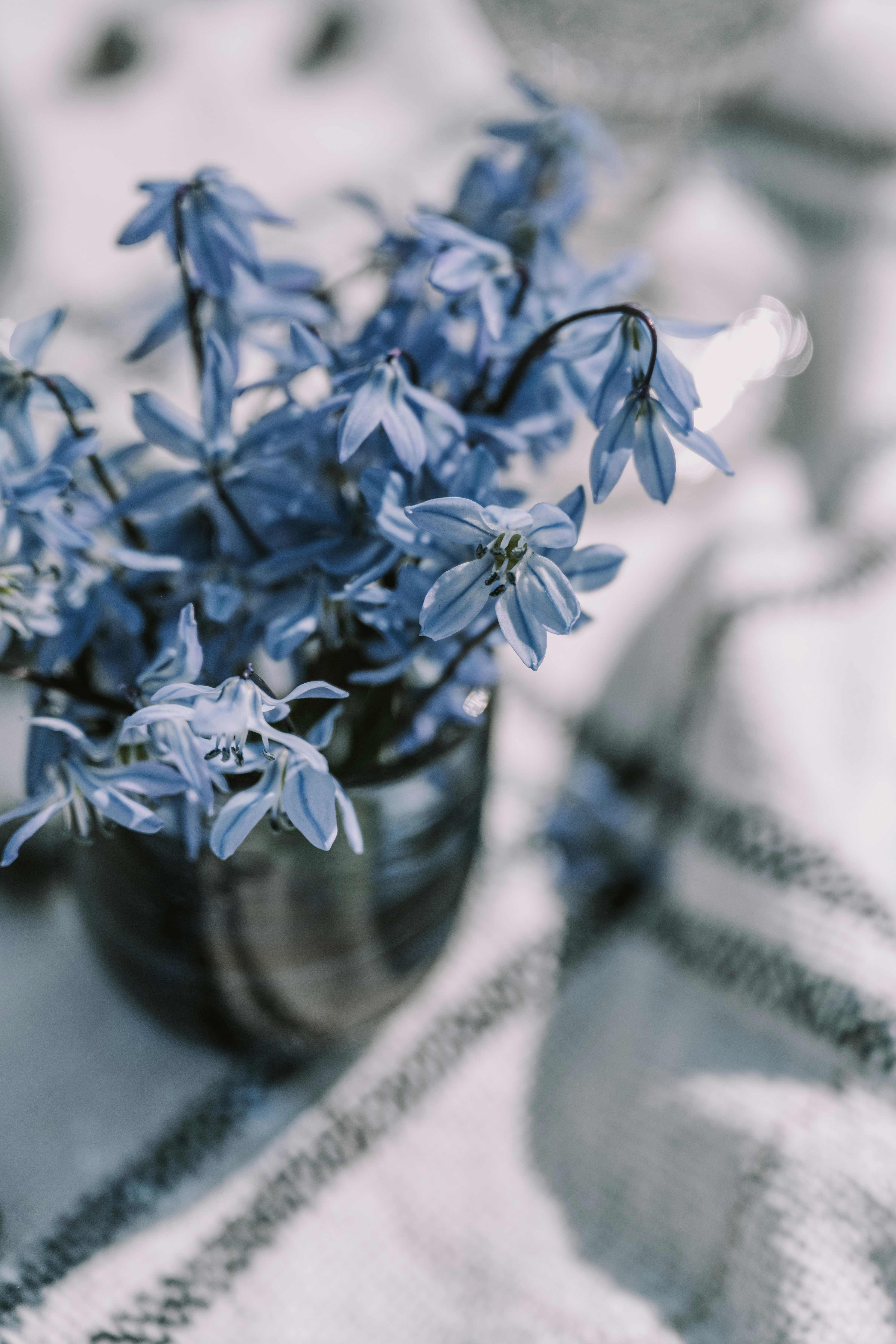 Photo by anitaaustvika